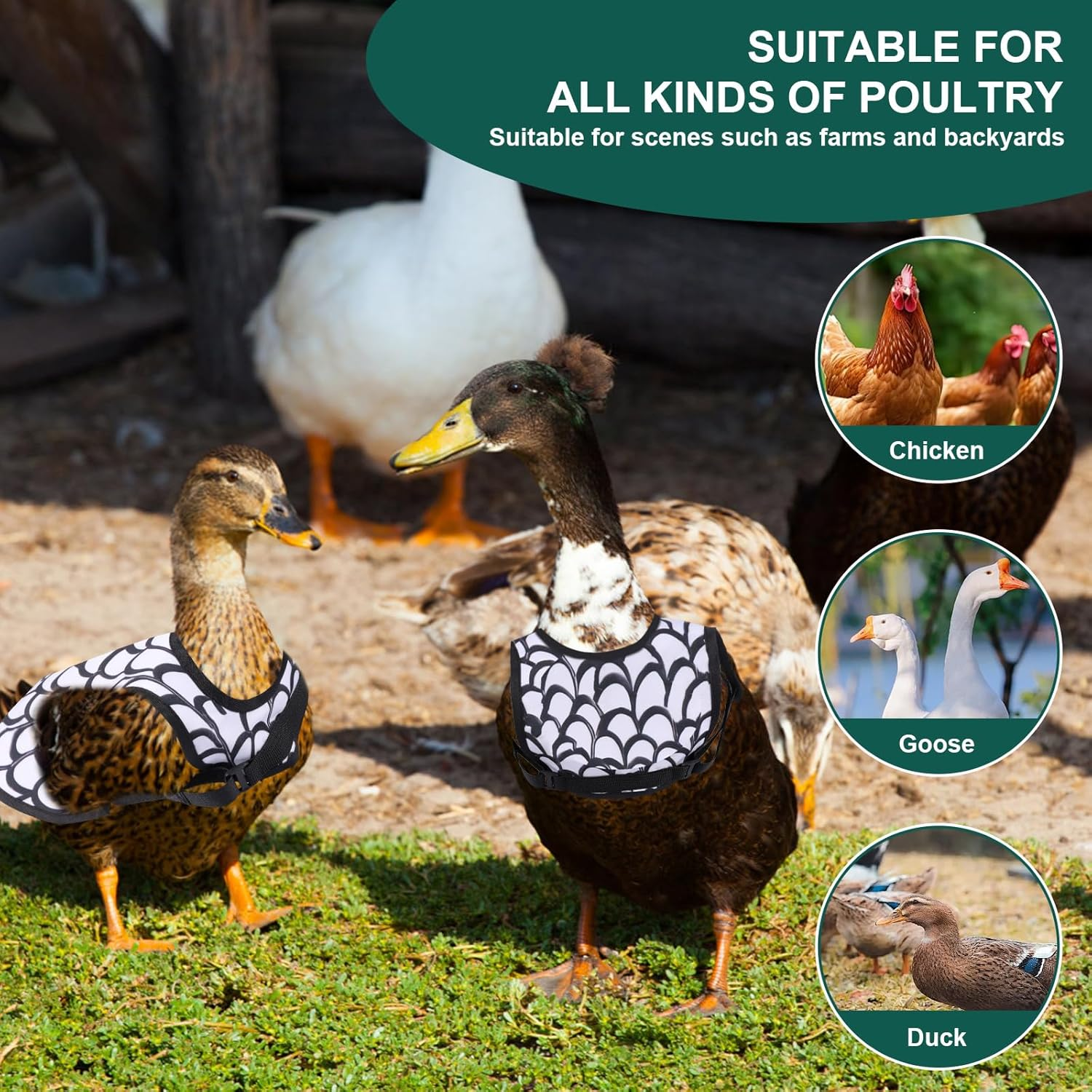 3Pcs Chicken Saddle Back Protector Polyester Chicken Apron Feather Protector with Adjustable Straps for Hens Poultry image number 4