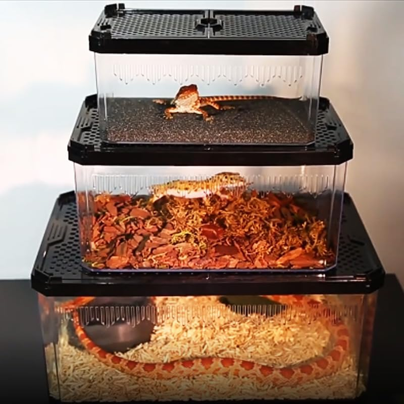 Reptile Acrylic Feeding Box with Sliding Door,19X12.5X9.3Cm Small Reptile Habitat,Lizard Terrarium,Breeding Box for Bearded Dragons, Sliding Cover Keeper for Snakes, Geckos,Reptiles Enclosure (M) image number 4