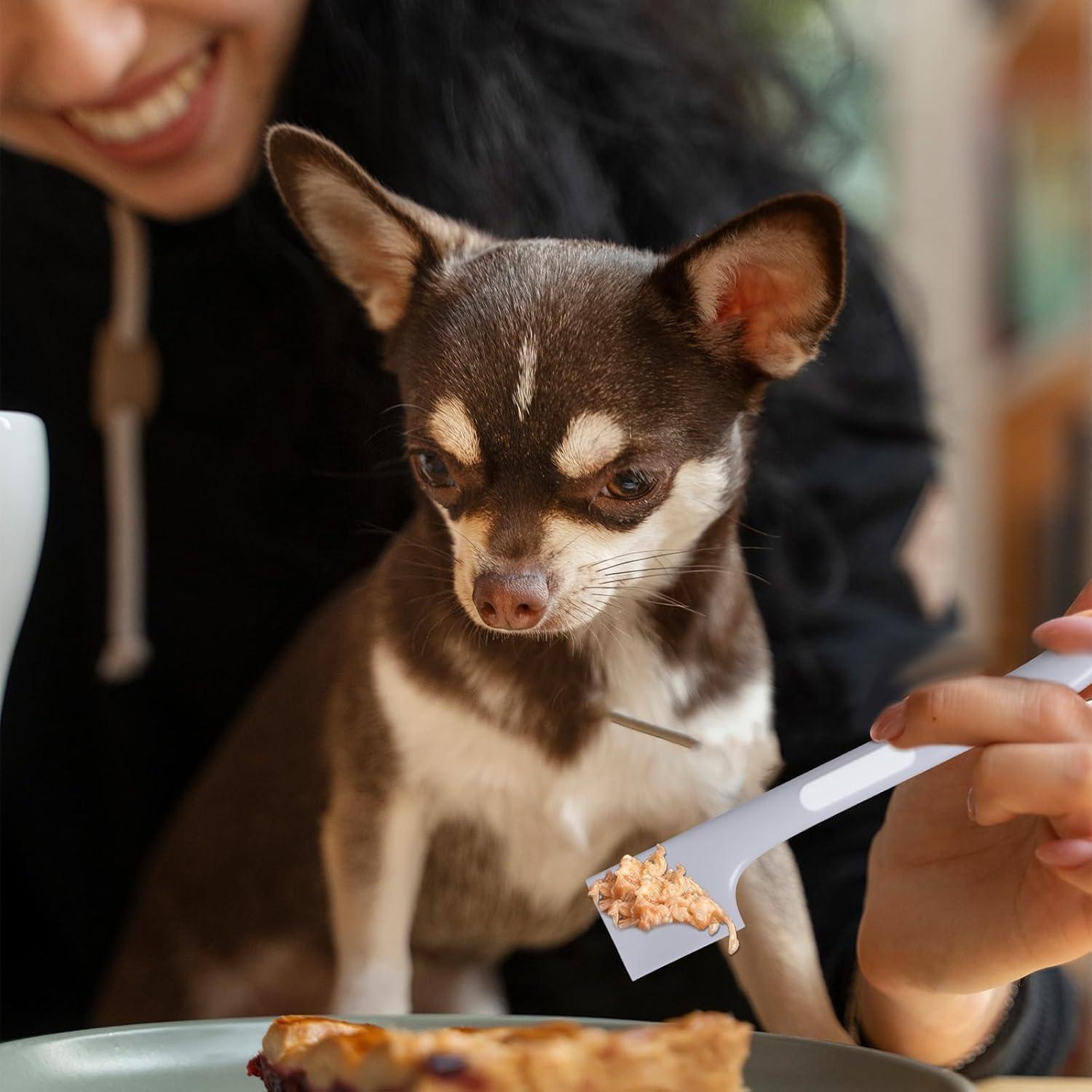 Cats Silicone Food Canned Spoon, 4Pcs Pet Food Spatula Can Opener Feeding or Mixing Spoons,Cat and Dog Food Spatula for Wet Food