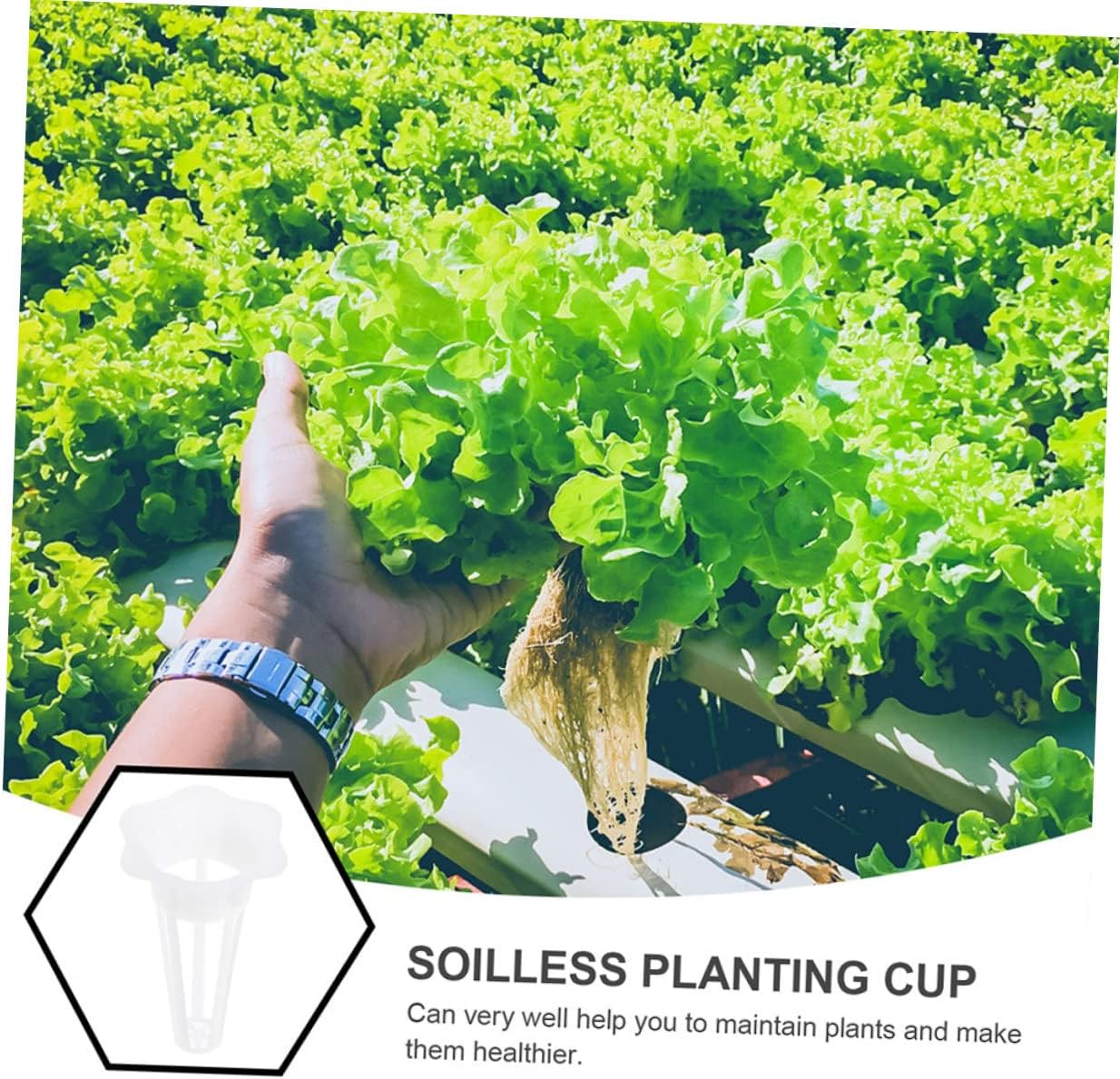 Yardwe 100Pcs Hydroponic Net Pots Mesh Cups for Plants Slotted Plastic Gardening Plant Baskets Grow Basket for Seedling Nursery and Hydroponic Systems image number 3