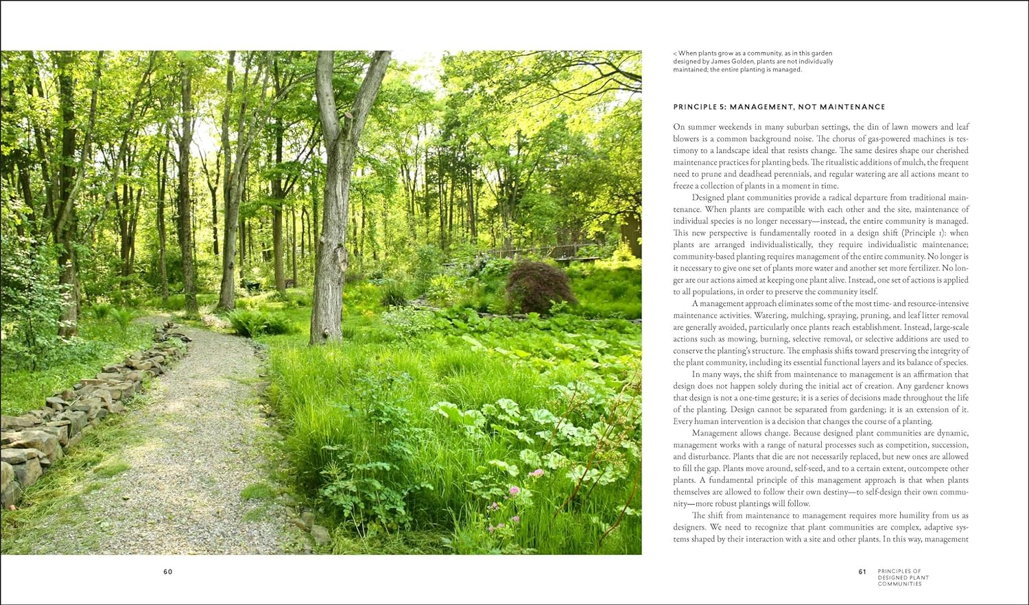 Planting in a Post-Wild World: Designing Plant Communities for Resilient Landscapes image number 6