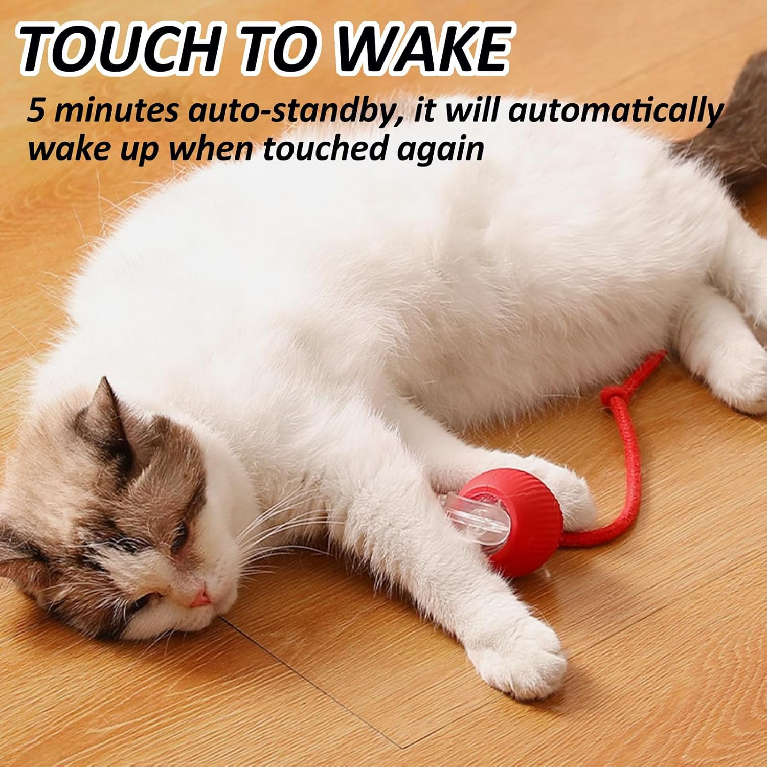 KIZCGE Cat Toys Ball, Interactive Cat Toy for Indoor Cats, 360&deg; Automatic Moving Cat Toy Ball, USB-C Rechargeable Kitten Toys (Red) - Red image number 3