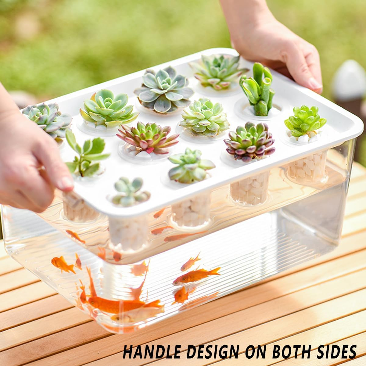 Transparent Plastic Rectangular Hydroponic Planter Box with Twelve-Hole Cover, Portable Micro Landscape Plant and Fish Tank, Ideal for Living Room Desktop Decoration, Durable Material - Green image number 2