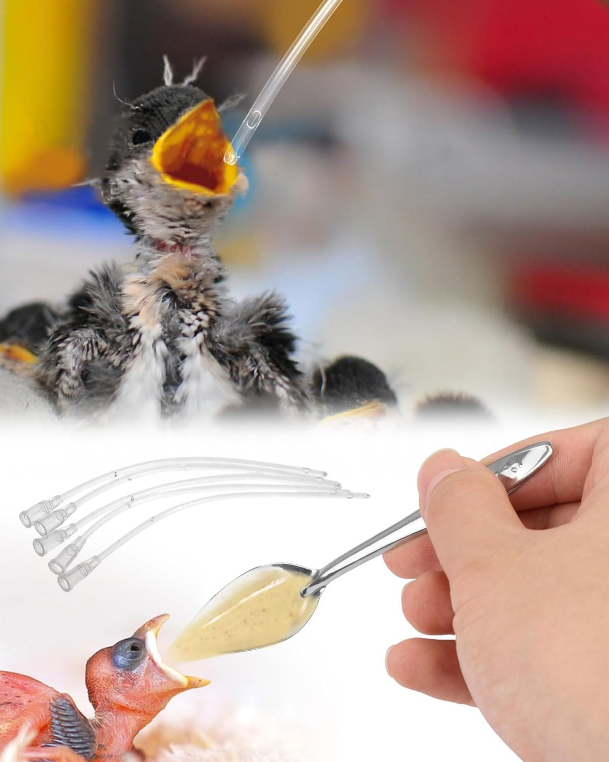 TPZORJX Young Birds Feeding Hose, Includes 3 Syringes, 8 Hoses, 2 Spoons, 1 Grain Box, Hand Feeding Tool for Baby Birds and Parrots, Milk, Water, Medication, Poultry, Easy to Clean image number 1