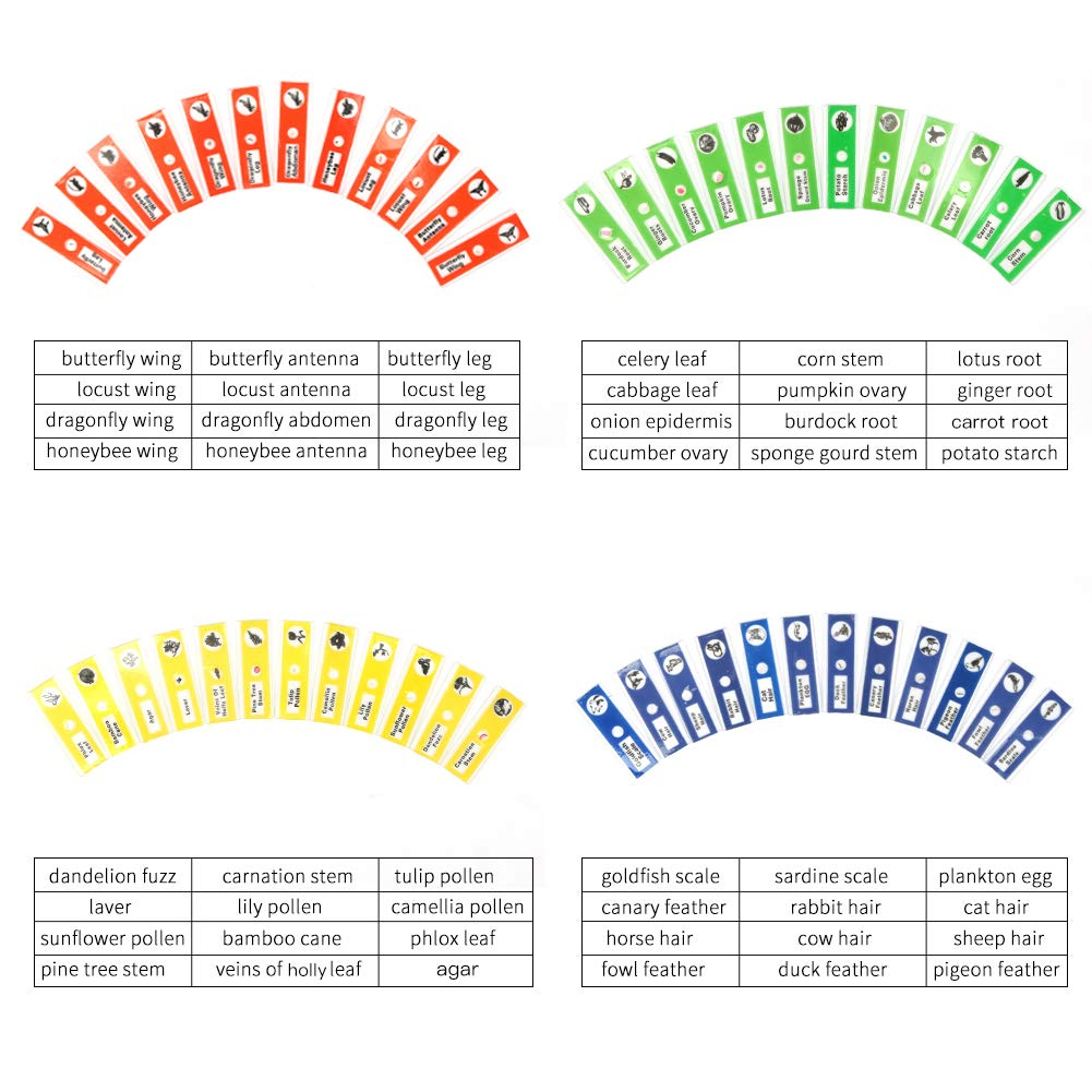 48 Prepared Microscope Slides Set of Animals Insects Plants Flowers, Biological Learning Resource Specimens for Kids Beginner Classroom Basic Science Education image number 4