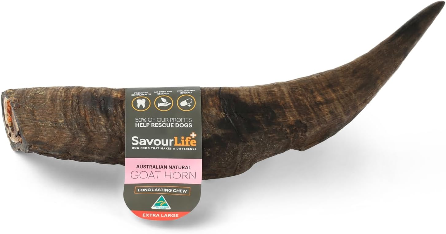 Goat Horn Loose Extra Large