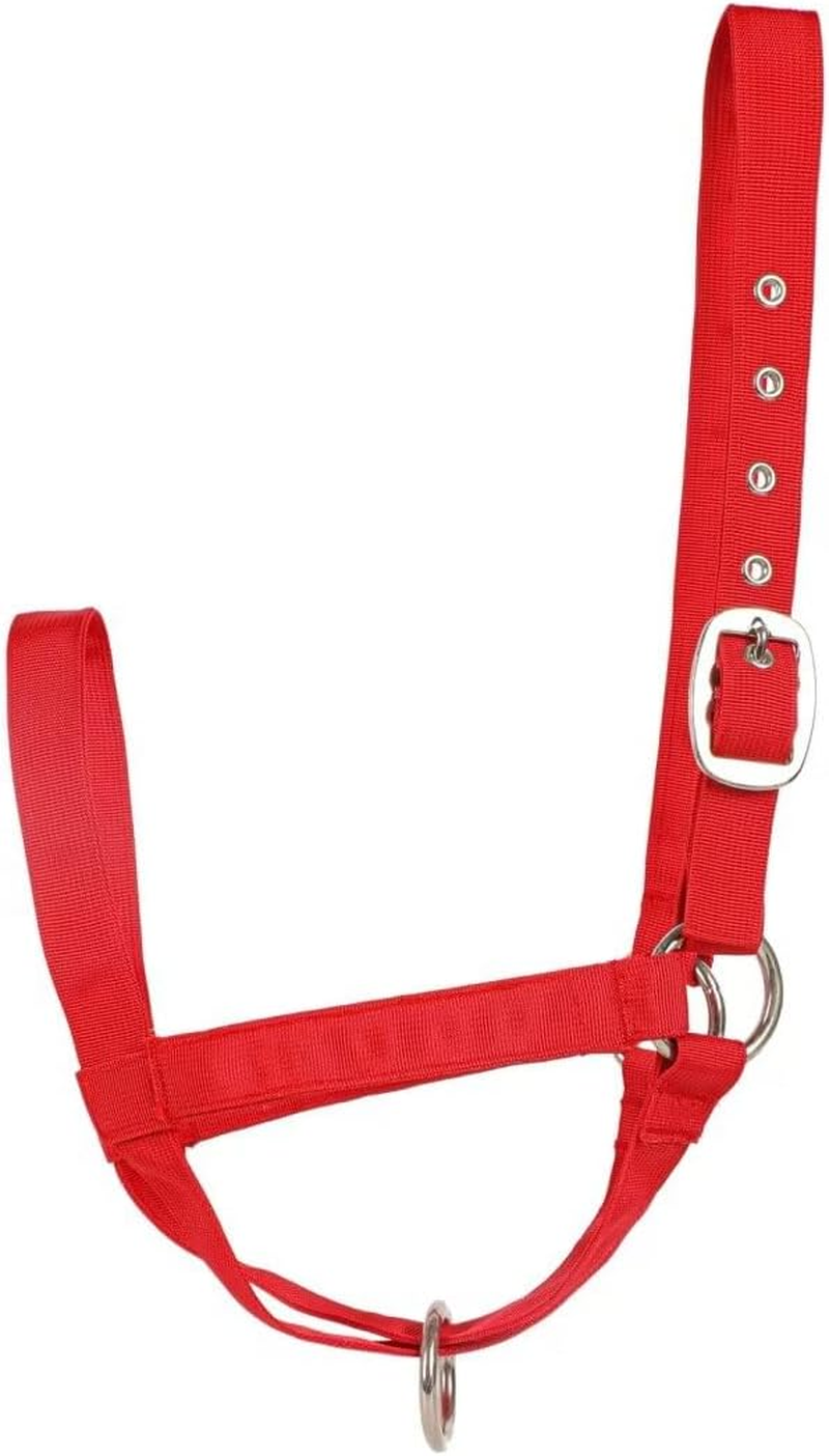 Perixir Cow Halter Cattle Halters Calf Halter，Adjustable Nylon Livestock Cattle Halter，For Miniature Horse Donkey Goat Foal image number 2