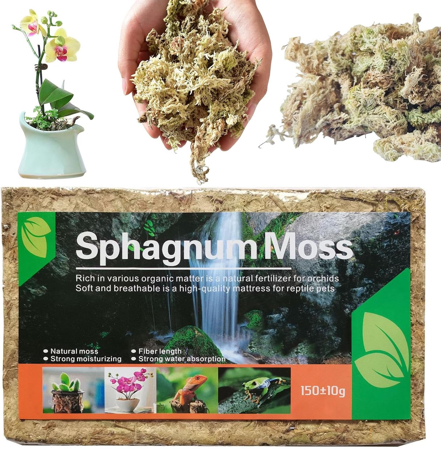 Sphagnum Moss for Plants, Natural Orchid Soil, Floral Arranging Supplies for Houseplant Gardening Aquarium Tank Pond Floral Crafts Reptile Terrariums Outdoor Decoration image number 1