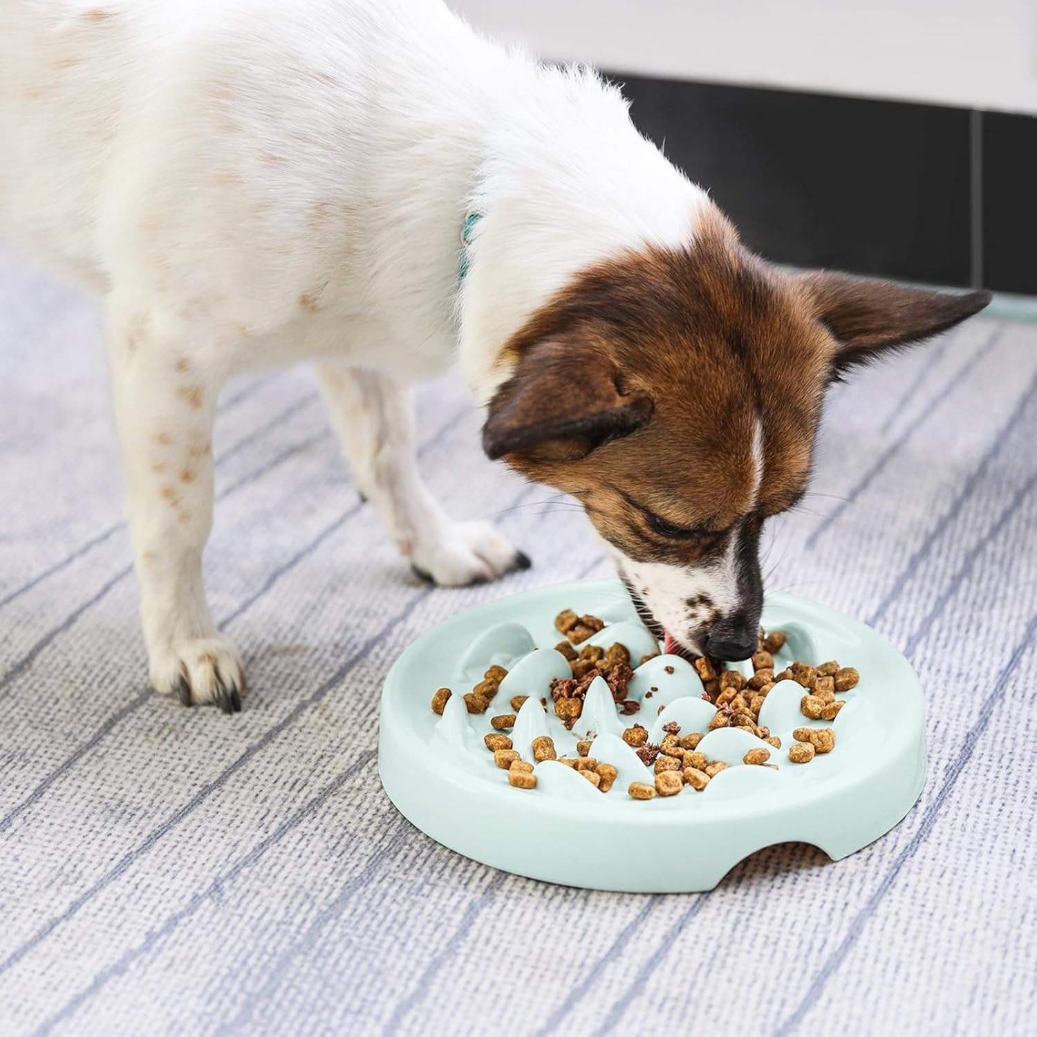 Anti-Sling Bowl, Cats, Anti-Slinging Bowl, Dogs, Anti-Slinging Bowl, Cat Bowl, Non-Slip, Cat Bowl with Labyrinth Design for Extended Feeding Time image number 4
