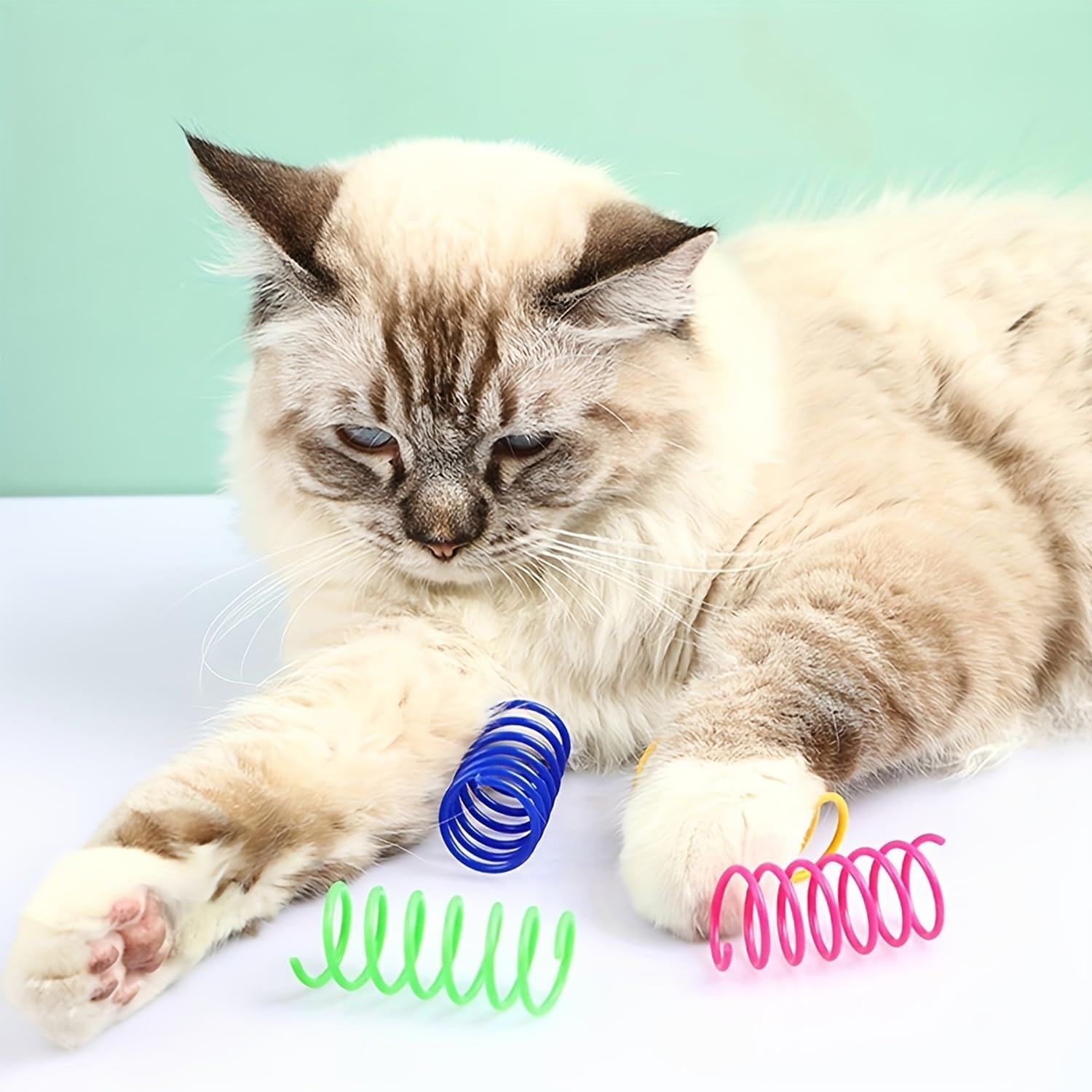Trabag Cat Spring Toy - Plastic Spiral Springs, Spiral Cat Toy, Toy Spiral Springs, Novelty Pet Toy, Colourful Spiral Springs, Spring Spiral for Cats (Pack of 20) image number 2