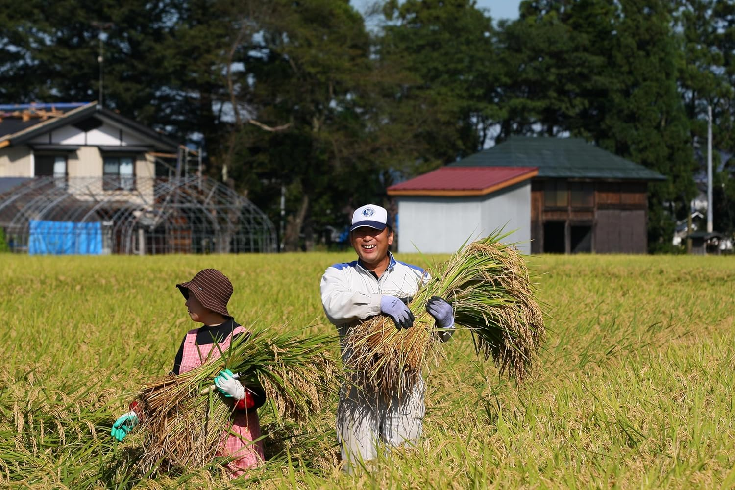 Akita Meijo Ranman Bishu Tokubetsu Junmaishu 720 Ml