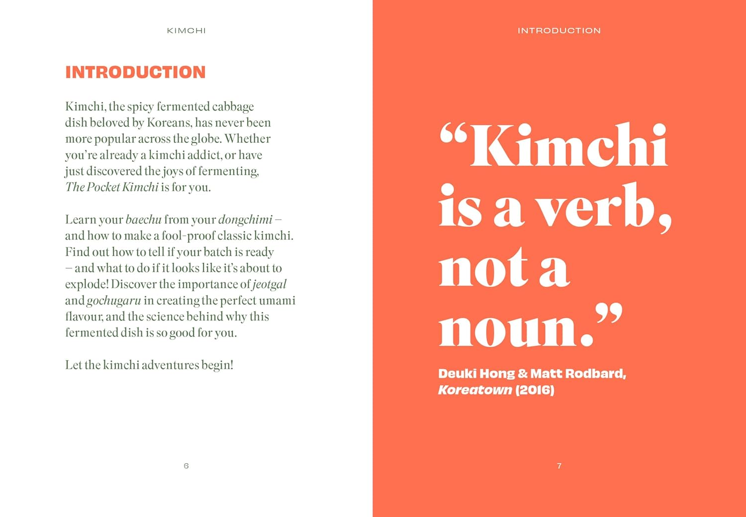 Pocket Kimchi image number 2