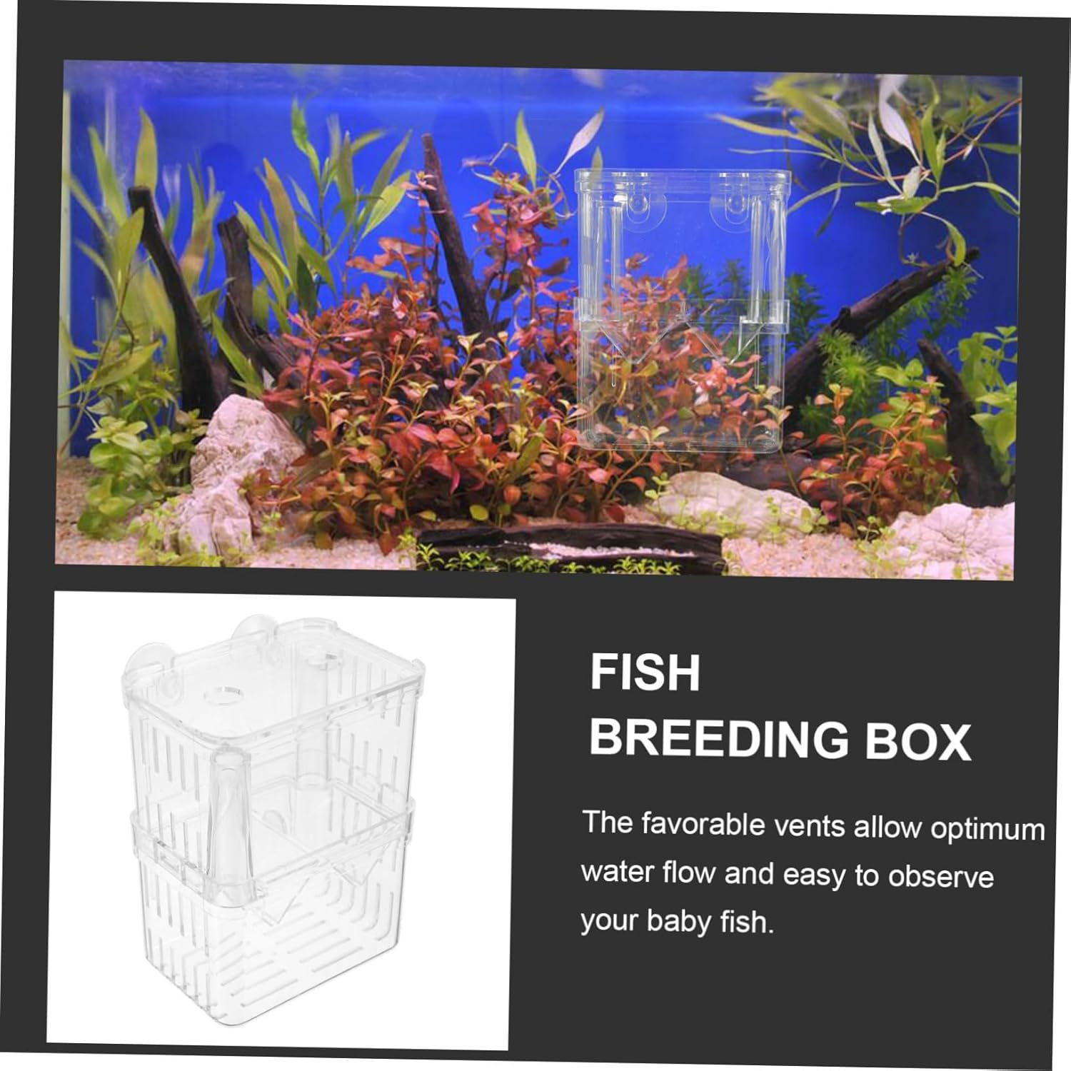 2Pcs Fish Breeding Isolation Box Double-Layer Aquarium Hatchery Container Large Size with Suction Cup for Fry Rearing and Fish Tank Separation in Aquatic Pet Breeding Random Color image number 2