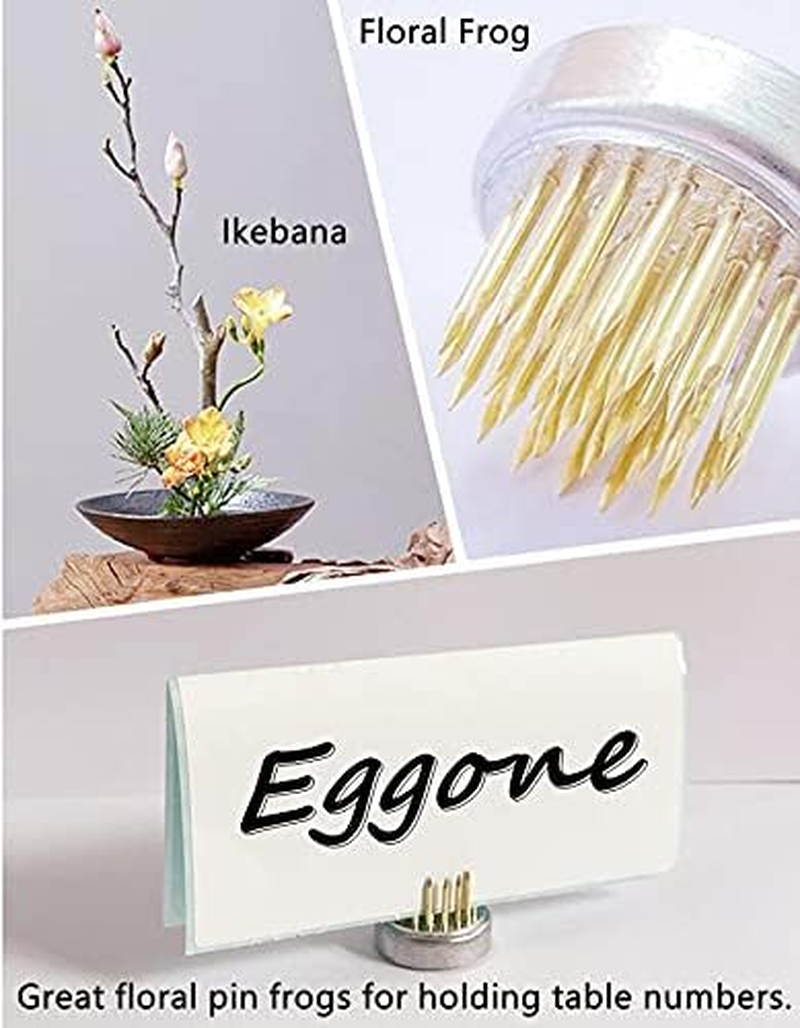 Mini Kenzan Pin Frog 23Mm/0.9Inch Diameter Floral Ikebana Flower Arranger Holder for Small Vase (20Pcs) - 20Pcs image number 2