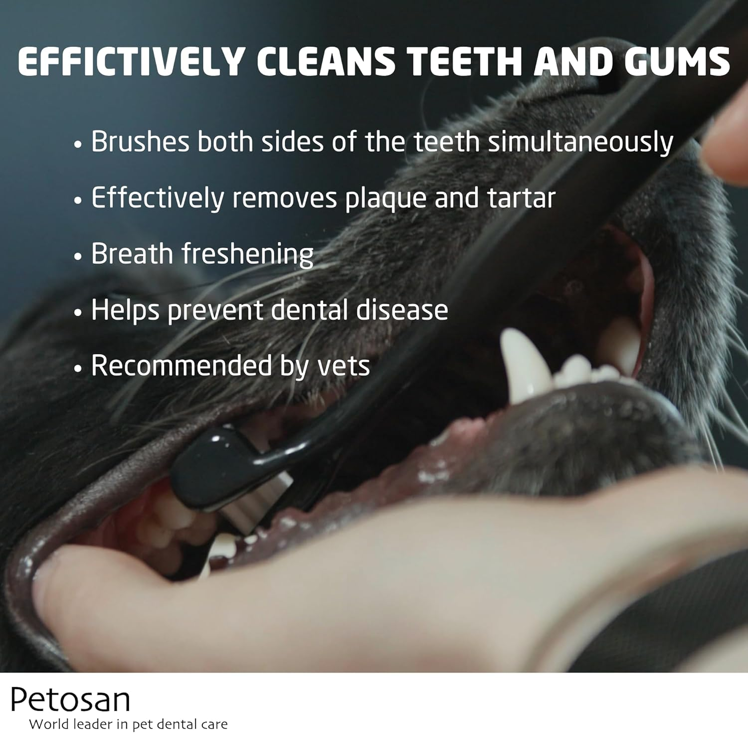 Petosan Complete Dental Kit for Medium Dogs, Medium 15-34 Lbs