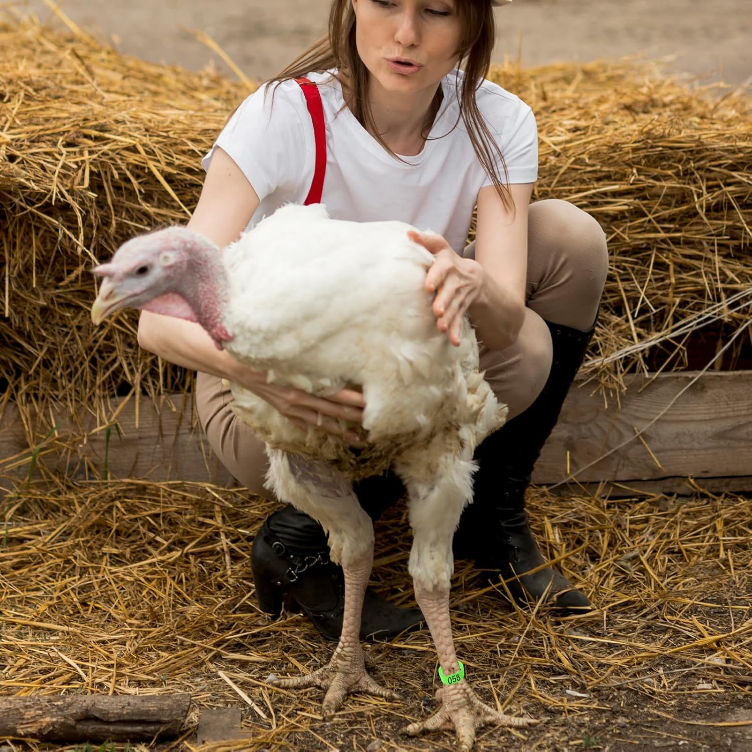 TEAONE Chicken Ring, 100 PCS Chicken Identification Tags for Birds, Ducks, Goosees (5 Colors, 2Cm/0.78In) image number 2