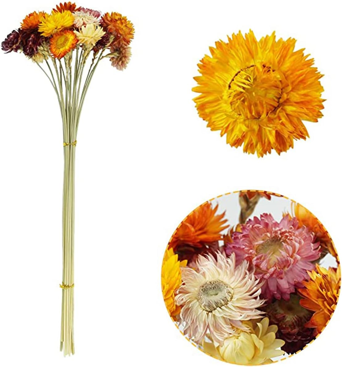 Tooget 40Pcs Natural Dried Daisies, Dried Daisy Flowers Bouquet with Stem for Wedding Home Office Party DIY Flower Arrangement image number 2