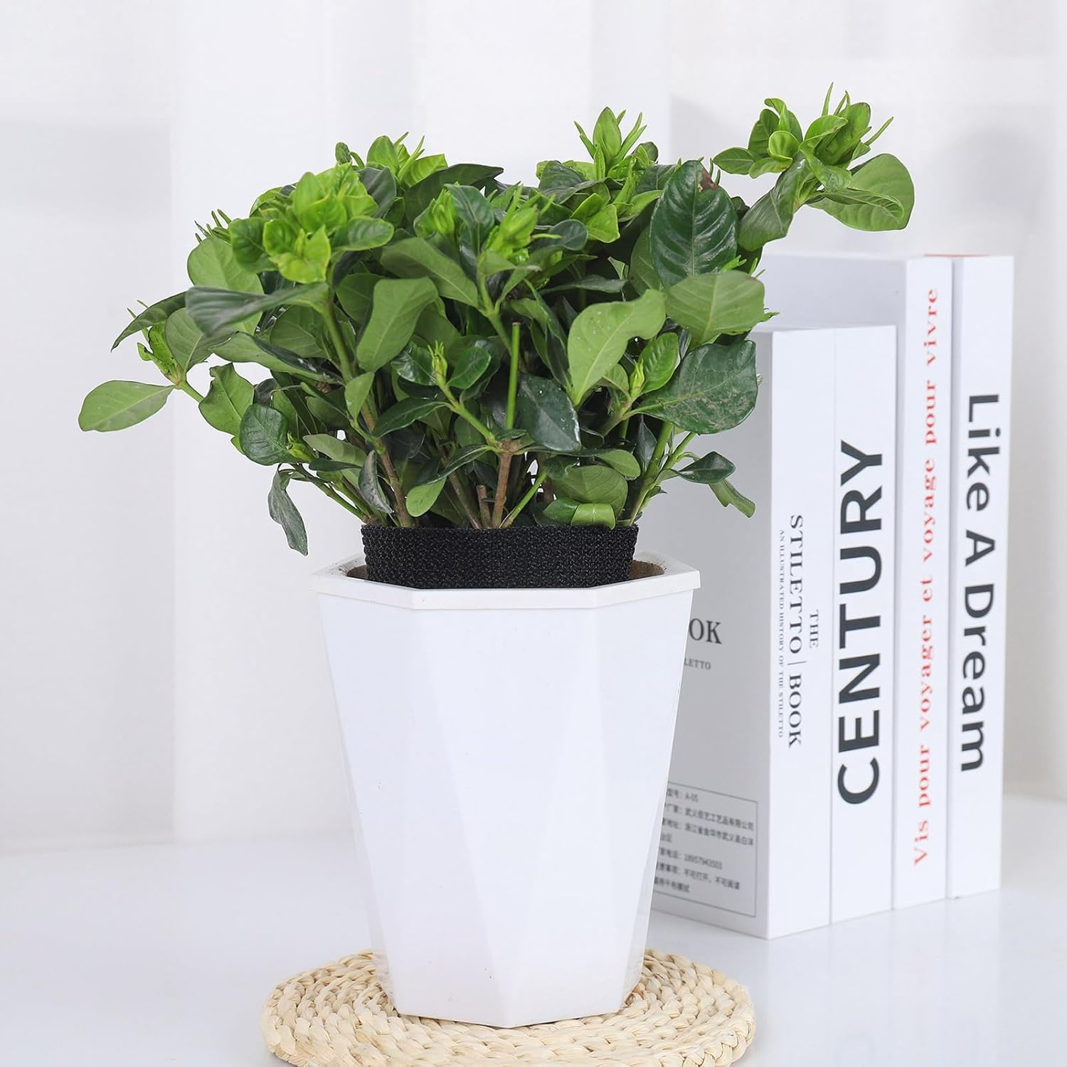 5M Hook and Loop Straps With25 Buckles, Adjustable Cable Straps, Free Cut Length, Reusable Nylon Securing Cord Ties for Organizer or Storage, 2CM Wide, Black image number 6