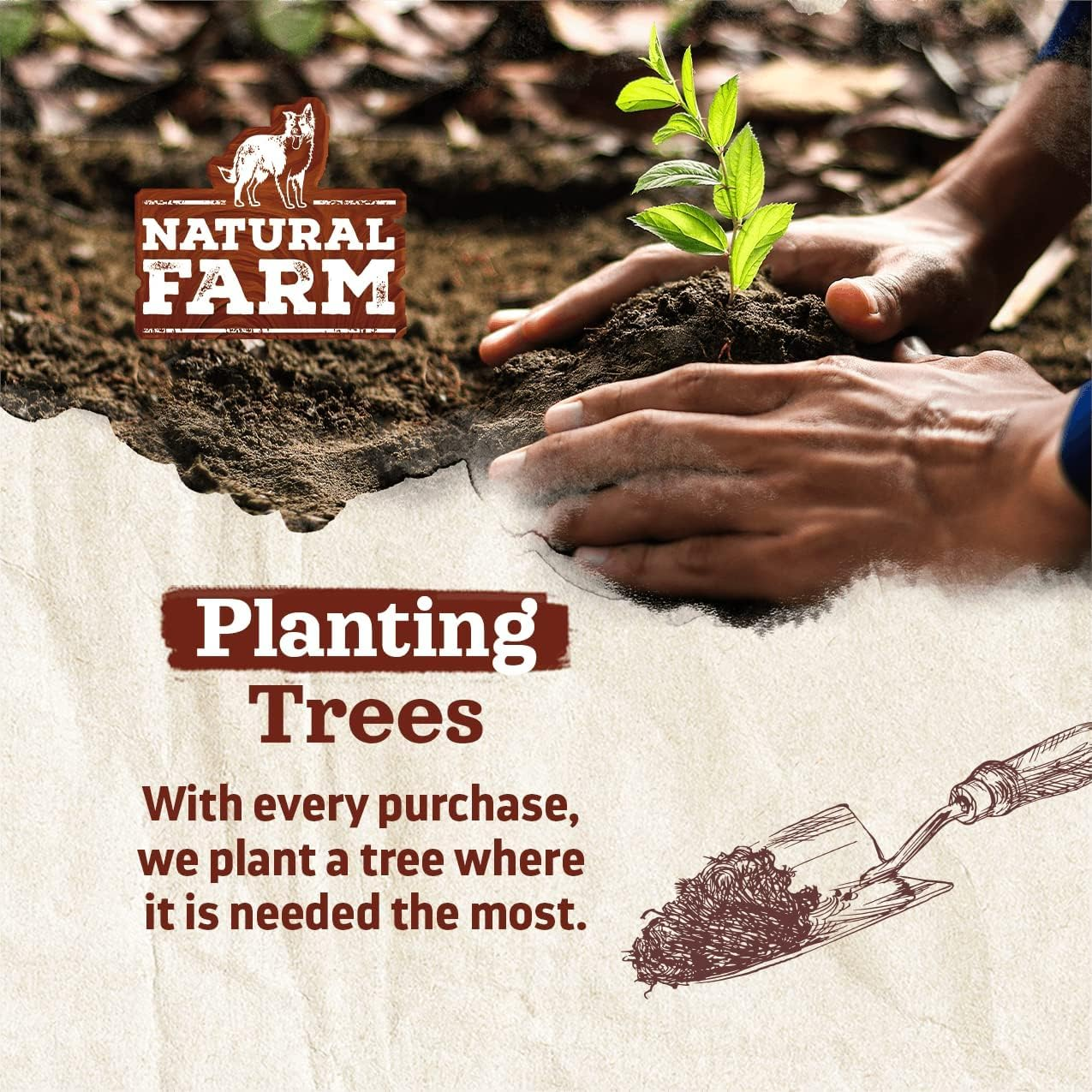 Natural Farm Pig Ears for Dogs (8-Pack), One Ingredient: Natural Whole Pigs Ears, Air Dried, Long-Lasting & Highly Digestible Treats, Great for Puppy and Large/Medium Dogs image number 5