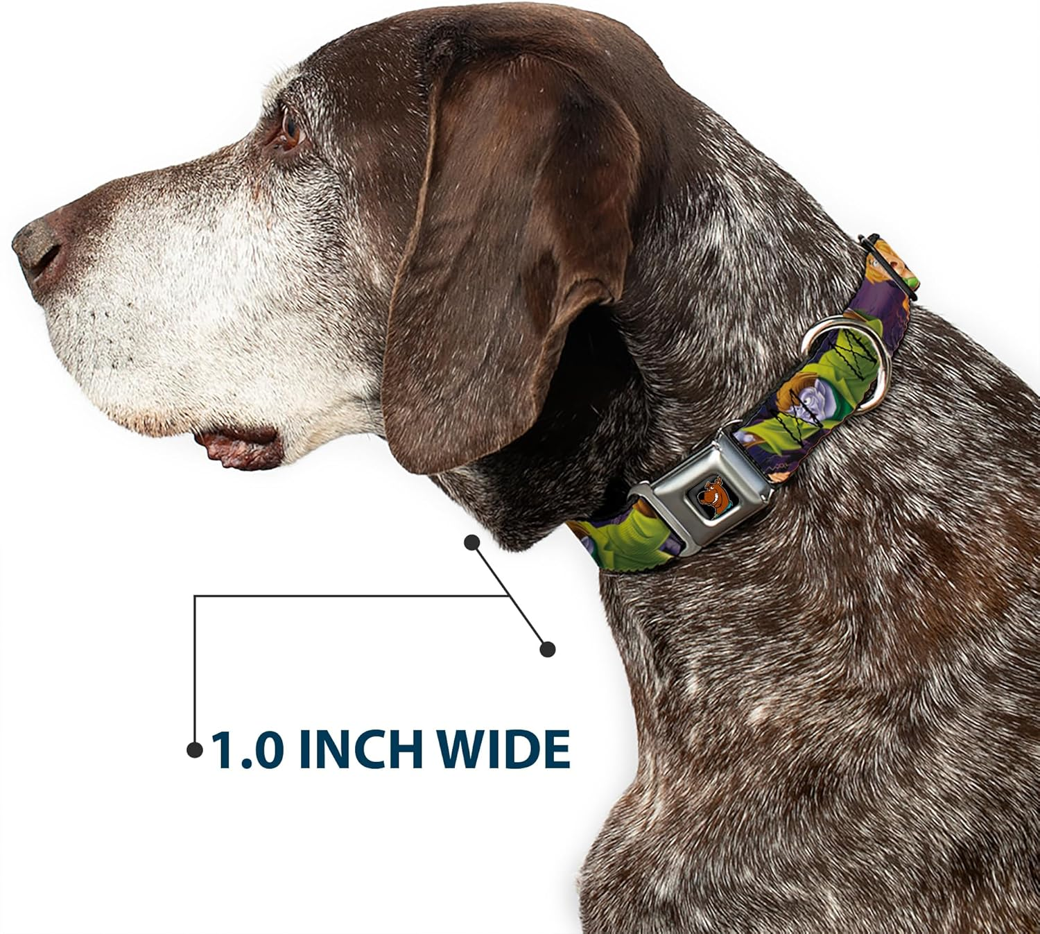 Buckle-Down Seatbelt Buckle Dog Collar - Scooby & Shaggy Hugging W/Werewolf Man Purple - 1" Wide - Fits 11-17" Neck - Medium image number 4