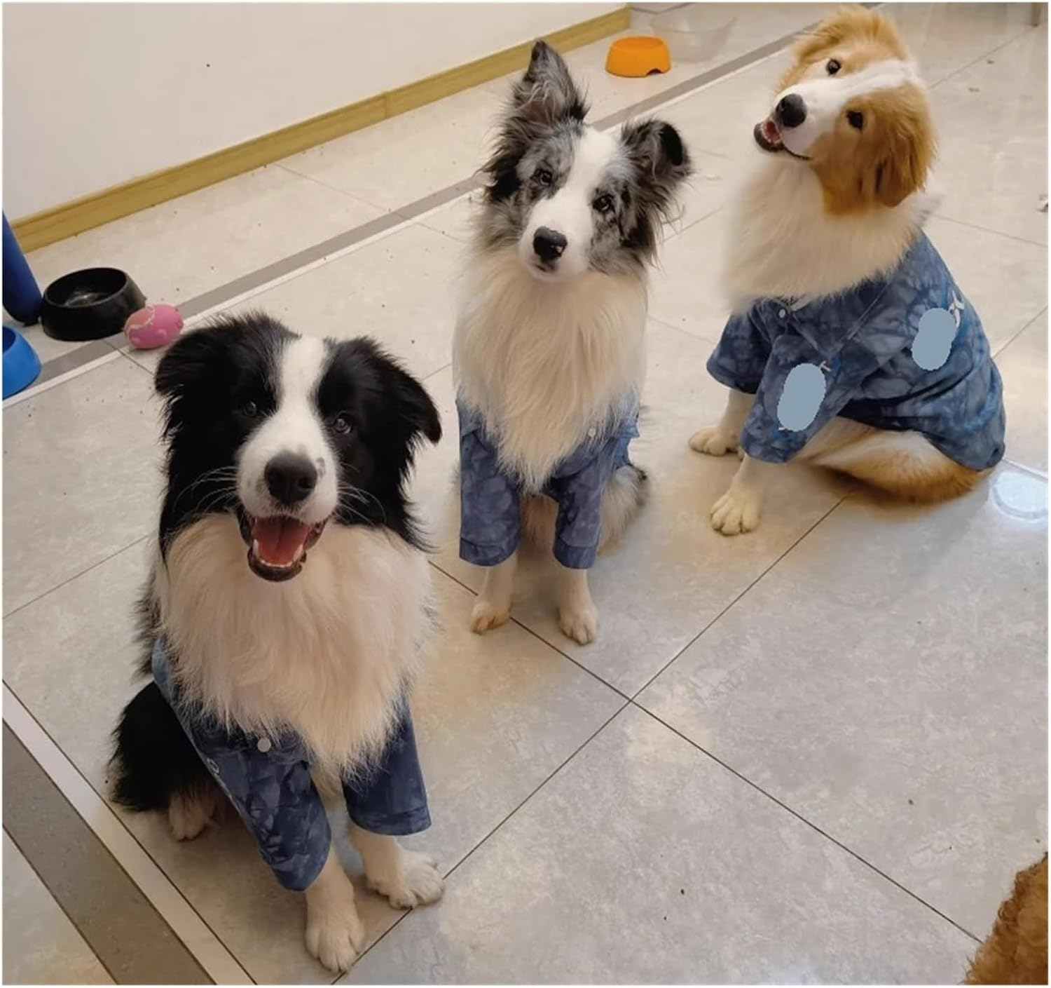 Dog Clothes Large Dog Shirt Denim Jeans Coat Spring Autumn Dog Clothes Corgi Samoyed Husky Labrador Costume Apparel Warm (Color : Blue, Size : 11)
