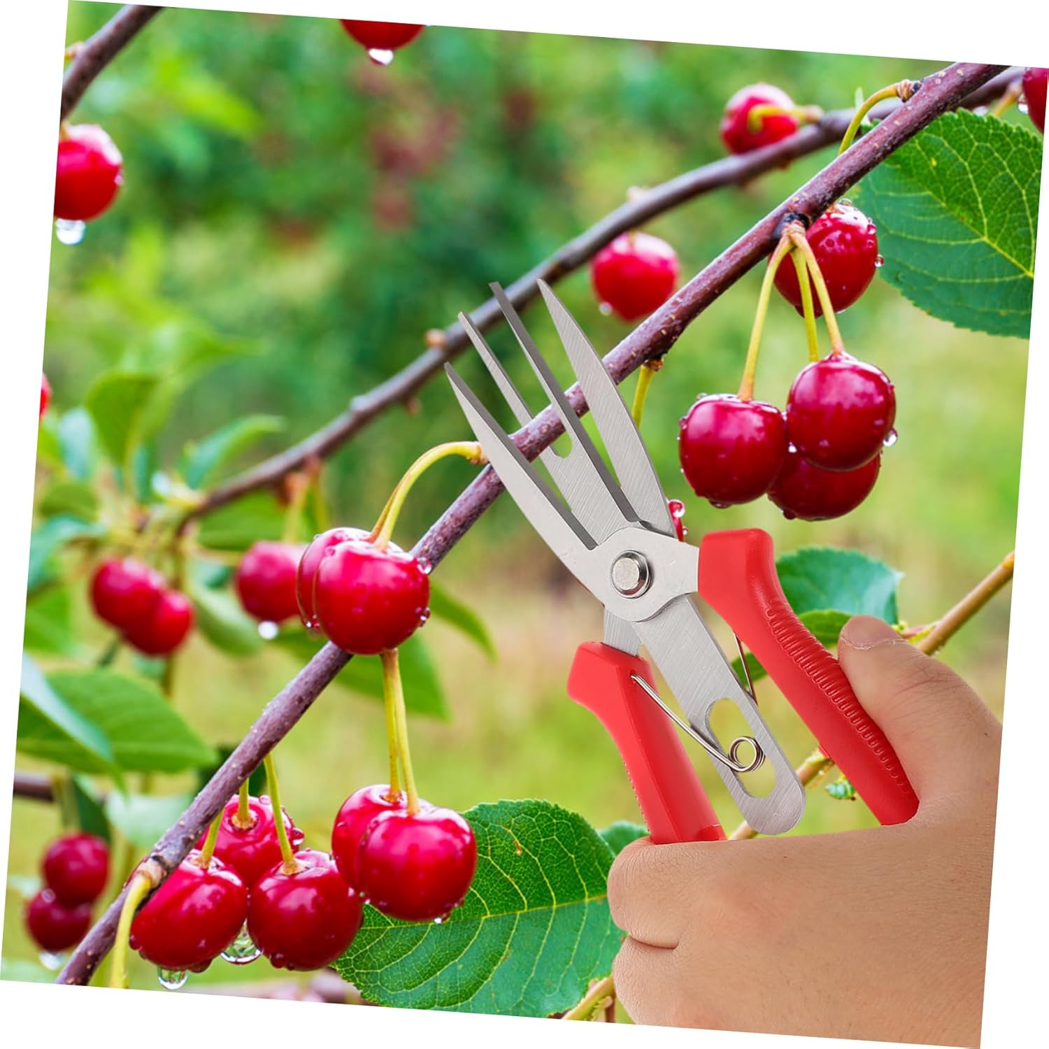 Kisangel Pruning Shears for Gardening Garden Shears Pruning Tool Handheld Scissor