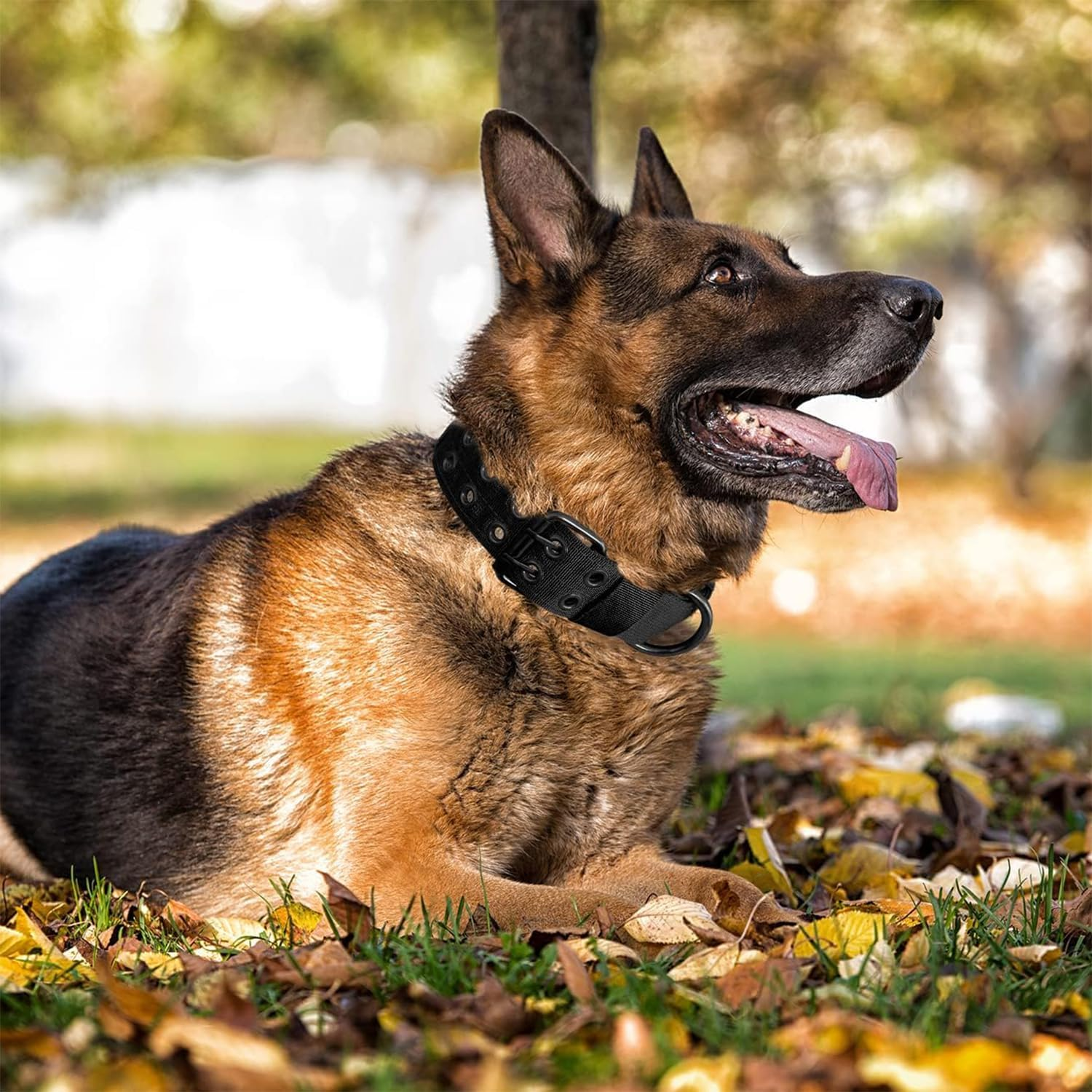Adjustable Dog Collar, Military Dog Collar, Adjustable Nylon Dog Collar, Soft Padded Nylon Dog Collar, Used for Training, Patrolling, Running and Hunting image number 6