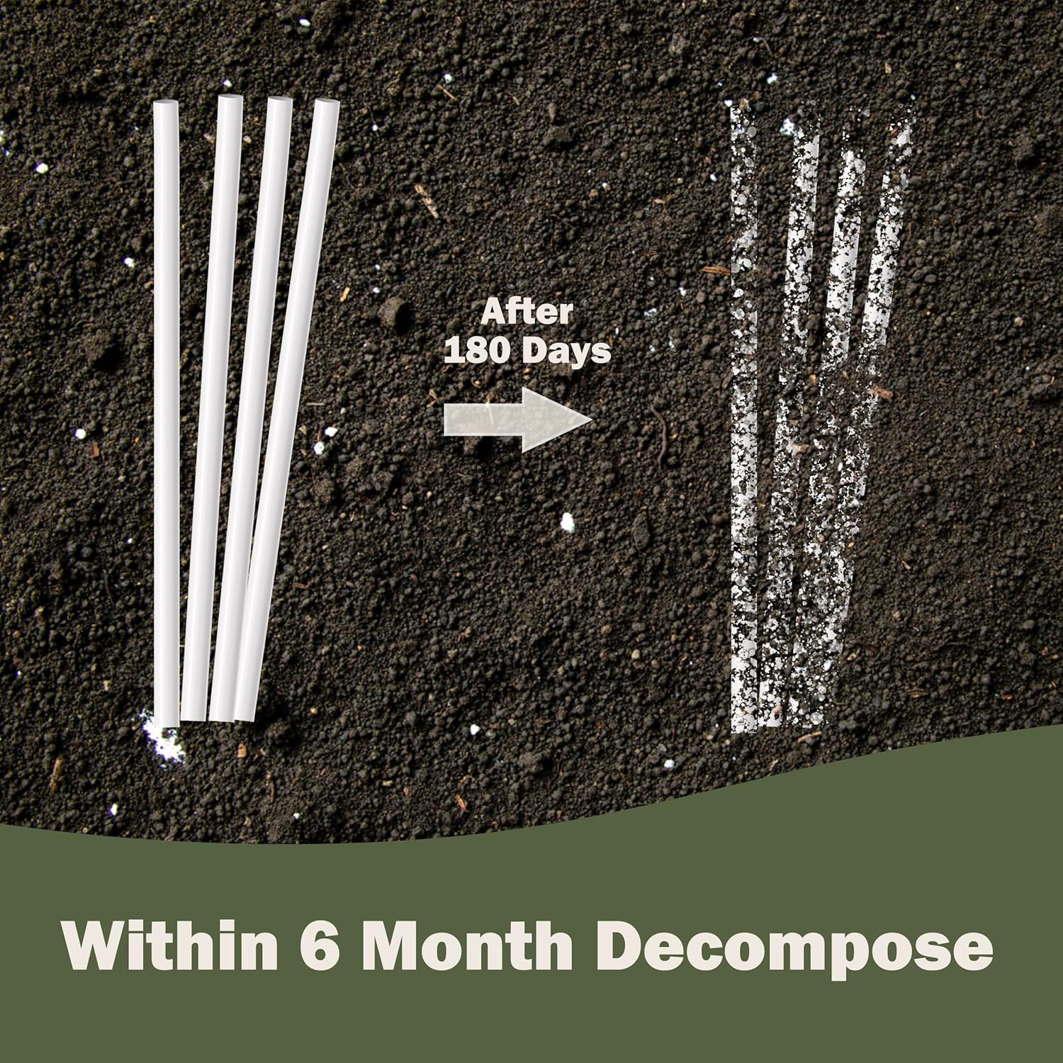 JENCENBIO 200 PCS 20Cm Straws Compostable Reusable Straw Drinking Individually Wrapped Suitable for Various Drinks Juice Milk, Tea Daily Use White image number 3