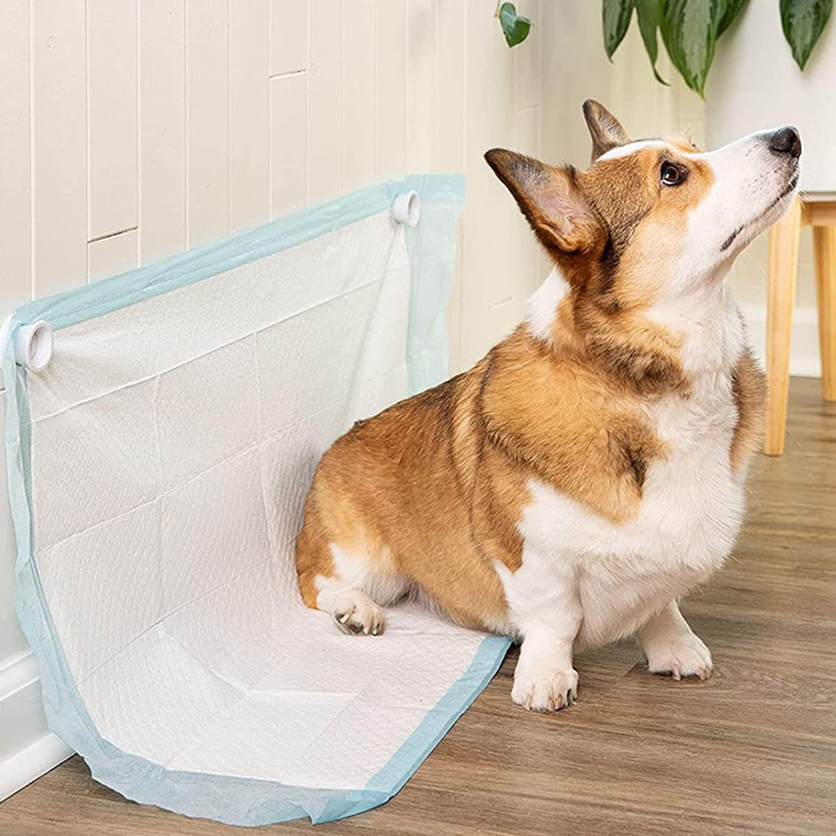 AIMALL 2Pcs Dog Pee Pad Holder, Wall-Mounted Pet Urine Pad Grip with Strong Adhesive Magnets, Secure Non-Slip Pad Solution, Easy Installation image number 4