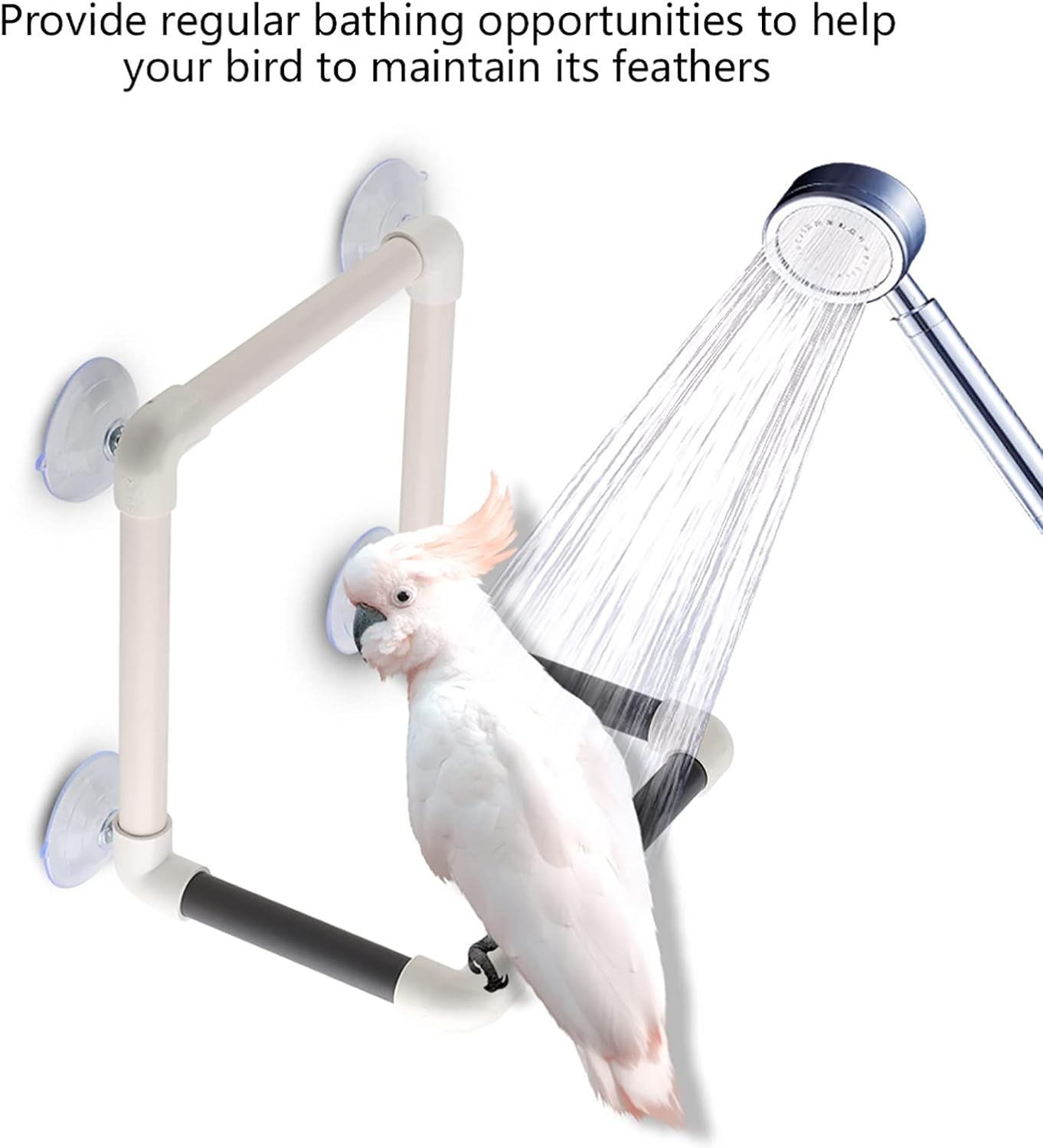 Sluffs Bird Perches, Portable Parrots Birds Perch with Suction Cups, Window Shower Bath Wall Plastic Standing Toy for Parakeets Canaries Finches image number 2