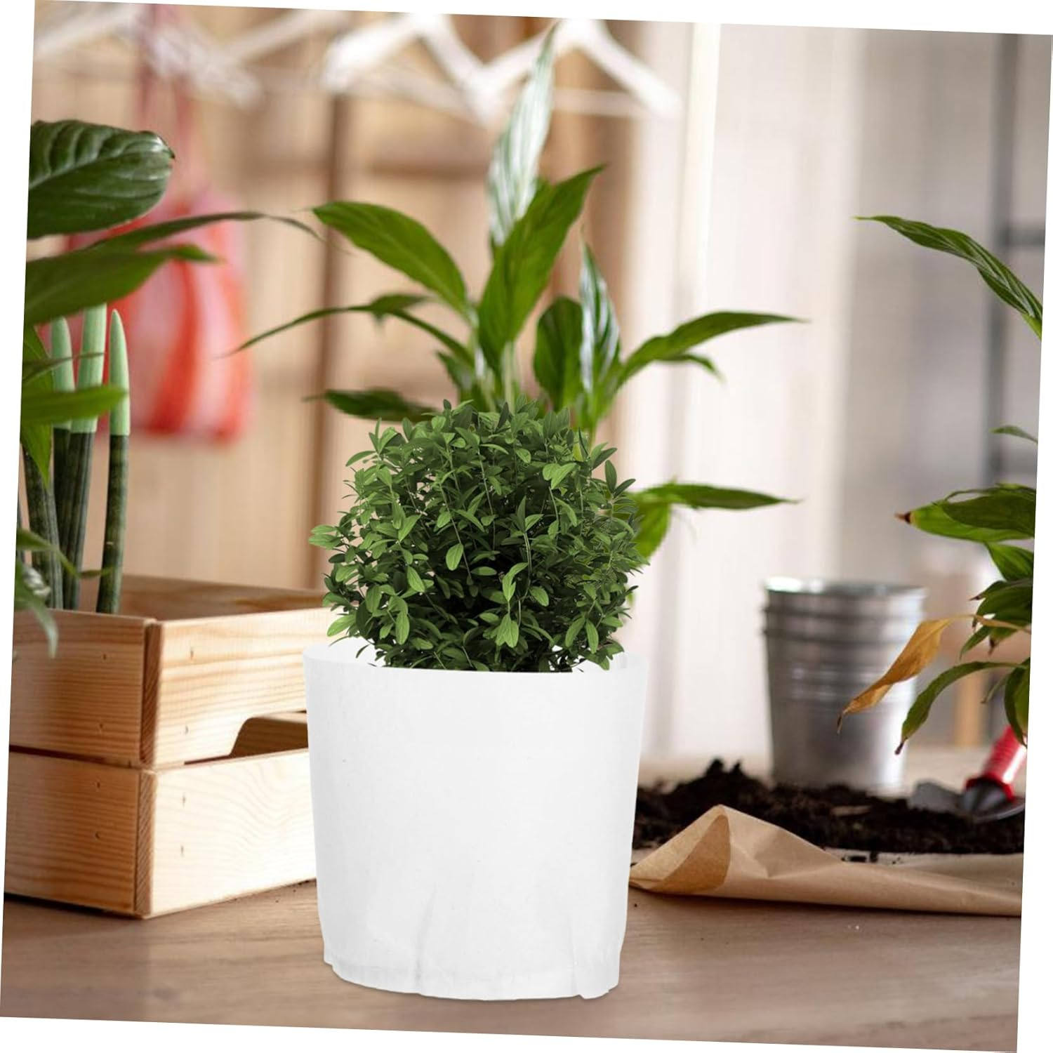 10Pcs Plant Nursery Bags Non-Woven Fabric Grow Bags Easy Mobility and Enhanced Root Growth for Home and Garden Use image number 5