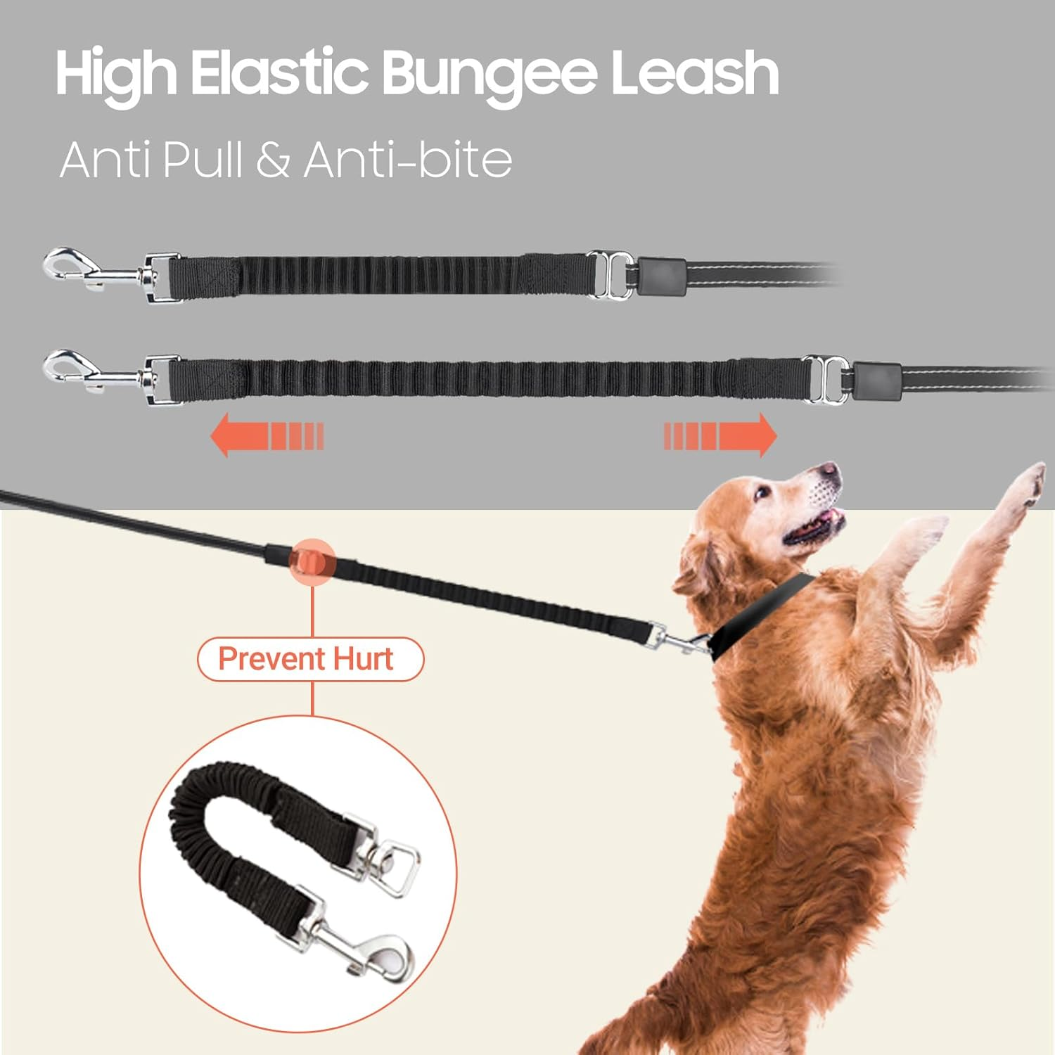 Happy & Polly 4 in 1 Dog Leash Retractable Dog Leash Heavy Duty 16.4 Ft Dog Walking Leash with Flashlight Detachable/Protective Bungee Leash/Magic Box for Small Medium Dogs - Black image number 3