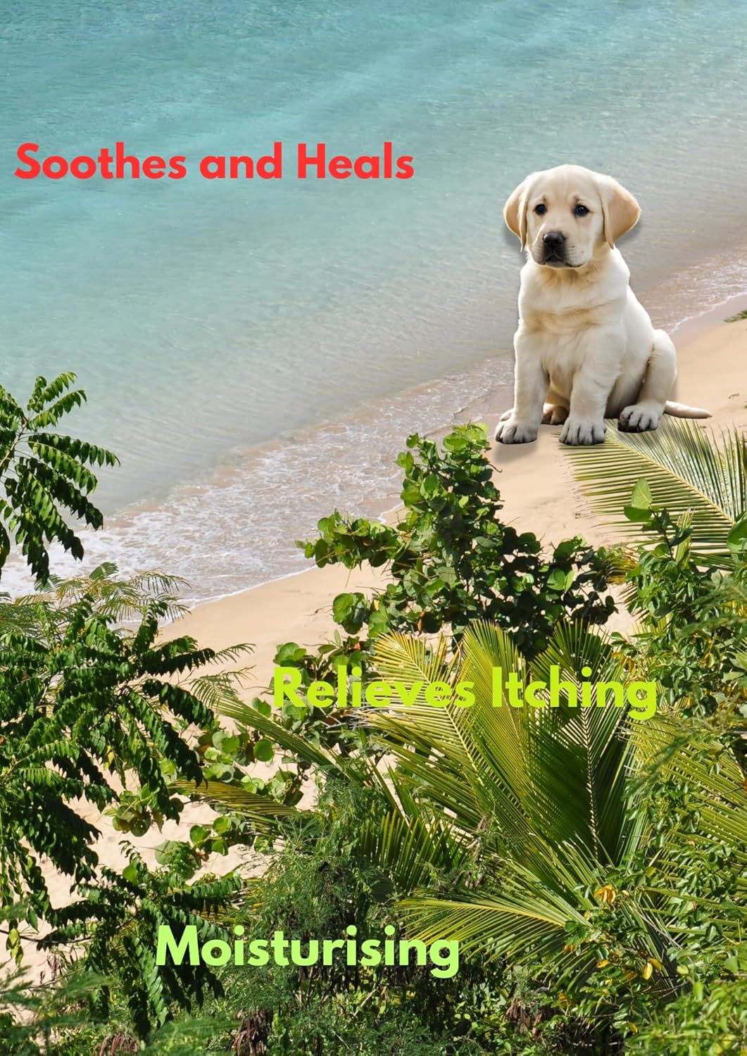 Nose and Paw Balm| Dog Cream| Australian Made Pet Balm | All Natural Dog and Cat Balm image number 2