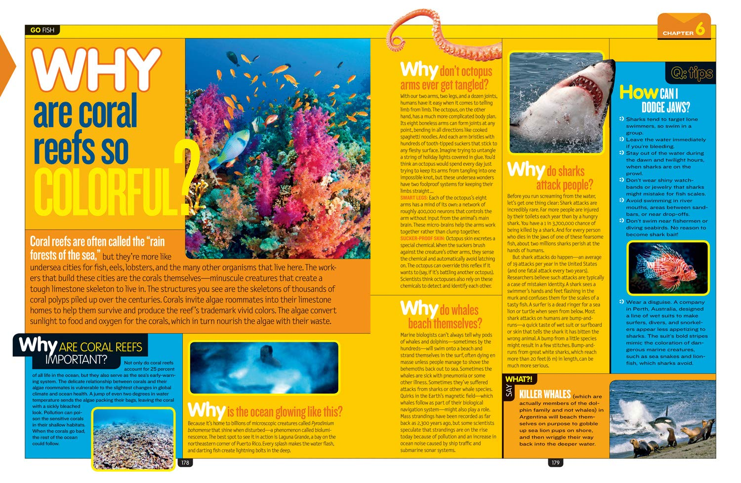 Fun Facts: Why? over 1,111 Answers to Everything image number 1