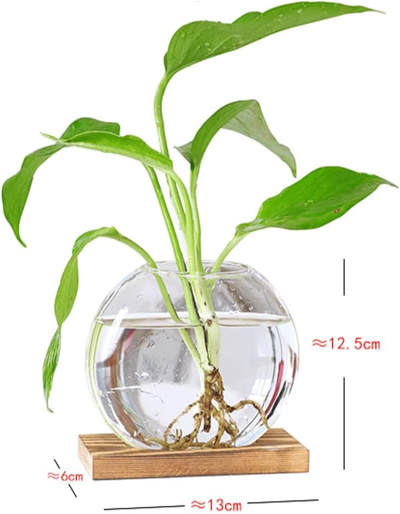 Desktop round Glass Planter Terrarium Flower Vase with Wooden Stand for Propagation Small Hydroponic Plants Home Office Decor, 2 Pack (Brown) image number 6