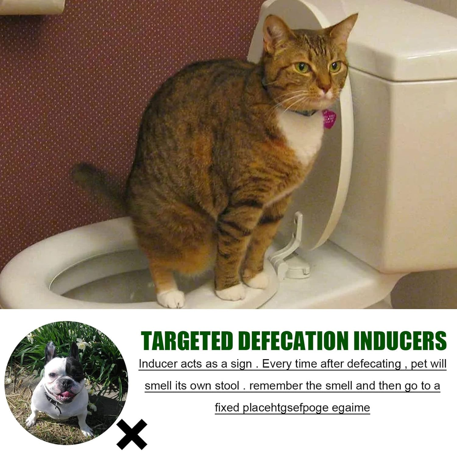 Dog Potty Training Spray Healthy Attractive Portable for Puppy Aid 30Ml Toilet Puppies and Dogs Spray, Scent Train Adult image number 2