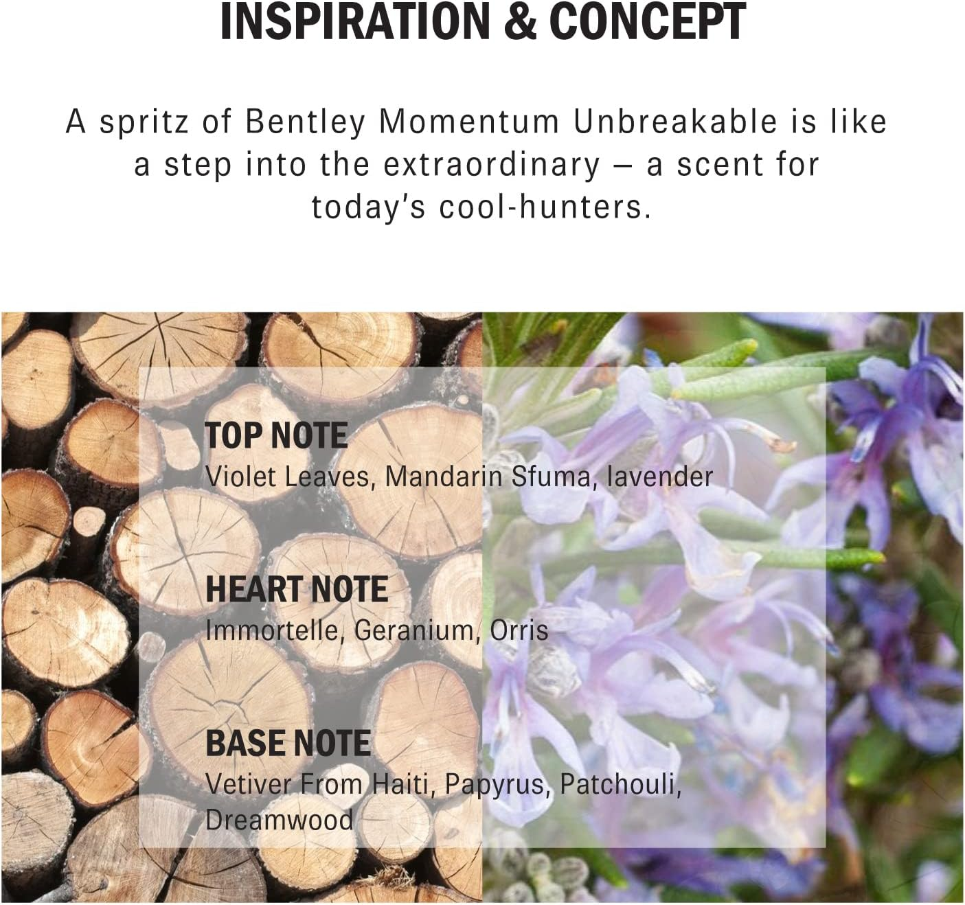 Bentley Momentum Unbreakable for Men 3.4 Oz EDP Spray image number 1