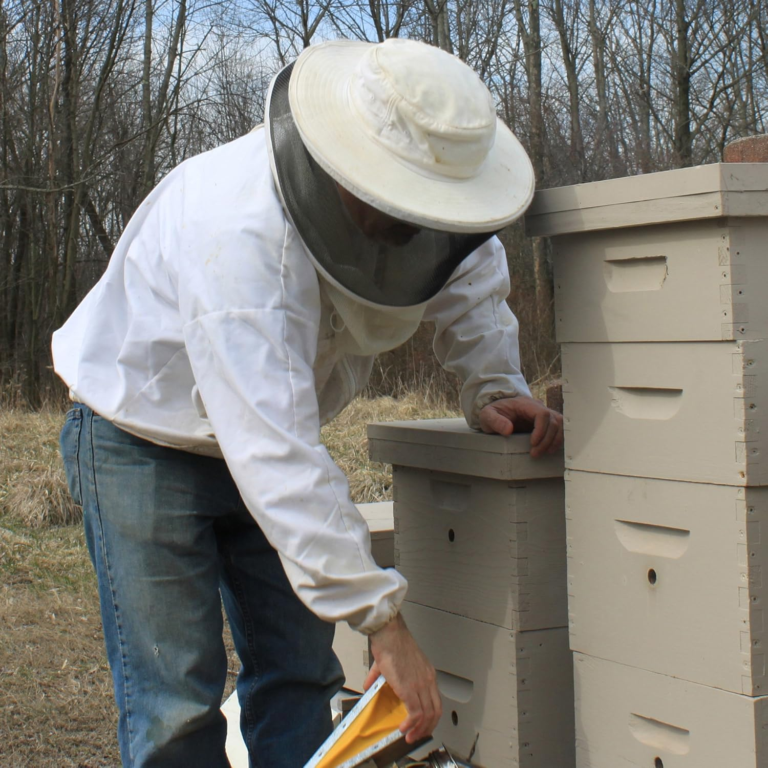 Beessential Mechanic and Gardener Soap, 5 Ounce Honey/Oat