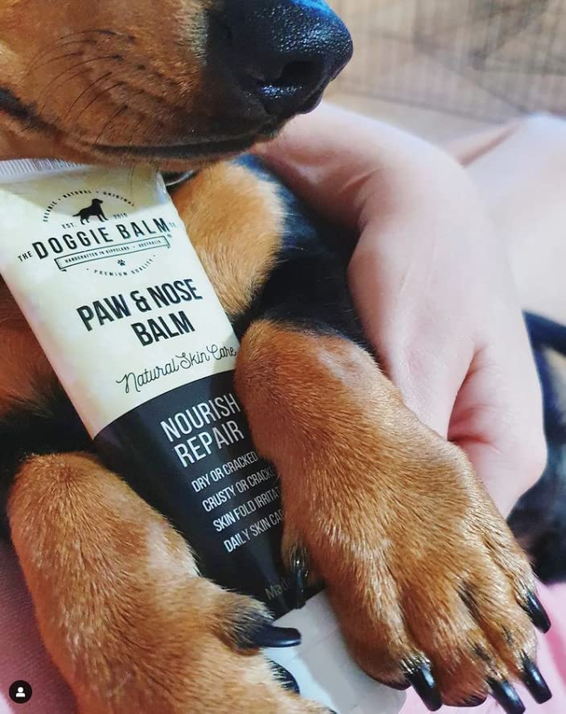The Doggiebalm Co. Paw & Nose Balm, 60G - Dog Nose, Elbow & Paw Balm - All Natural Pet Skin Care to Nourishes, Hydrate & Repair - Dog Skin Treatment for Sensitive Skin image number 2