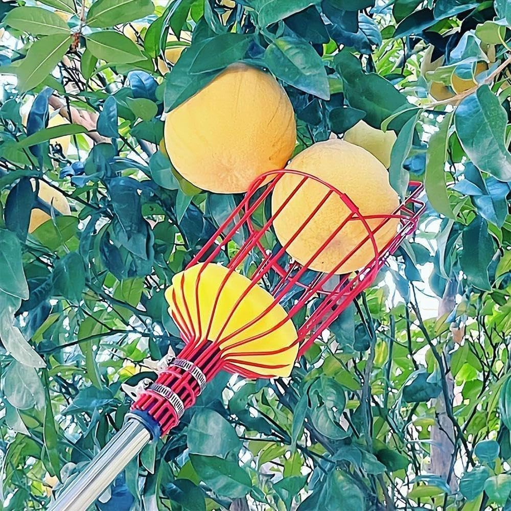 2-Pack Fruit Picker Head &ndash; Durable Harvesting Tool with Foam Cushion for Easy Fruit Picking &ndash; Ideal for Oranges, Avocados, Apples & More (Rod Not Included, Red) image number 2