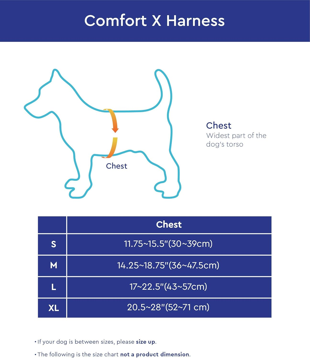 Gooby - Comfort X Head-In Harness, Choke Free Small Dog Harness with Micro Suede Trimming and Patented X Frame, Blue, Medium image number 7