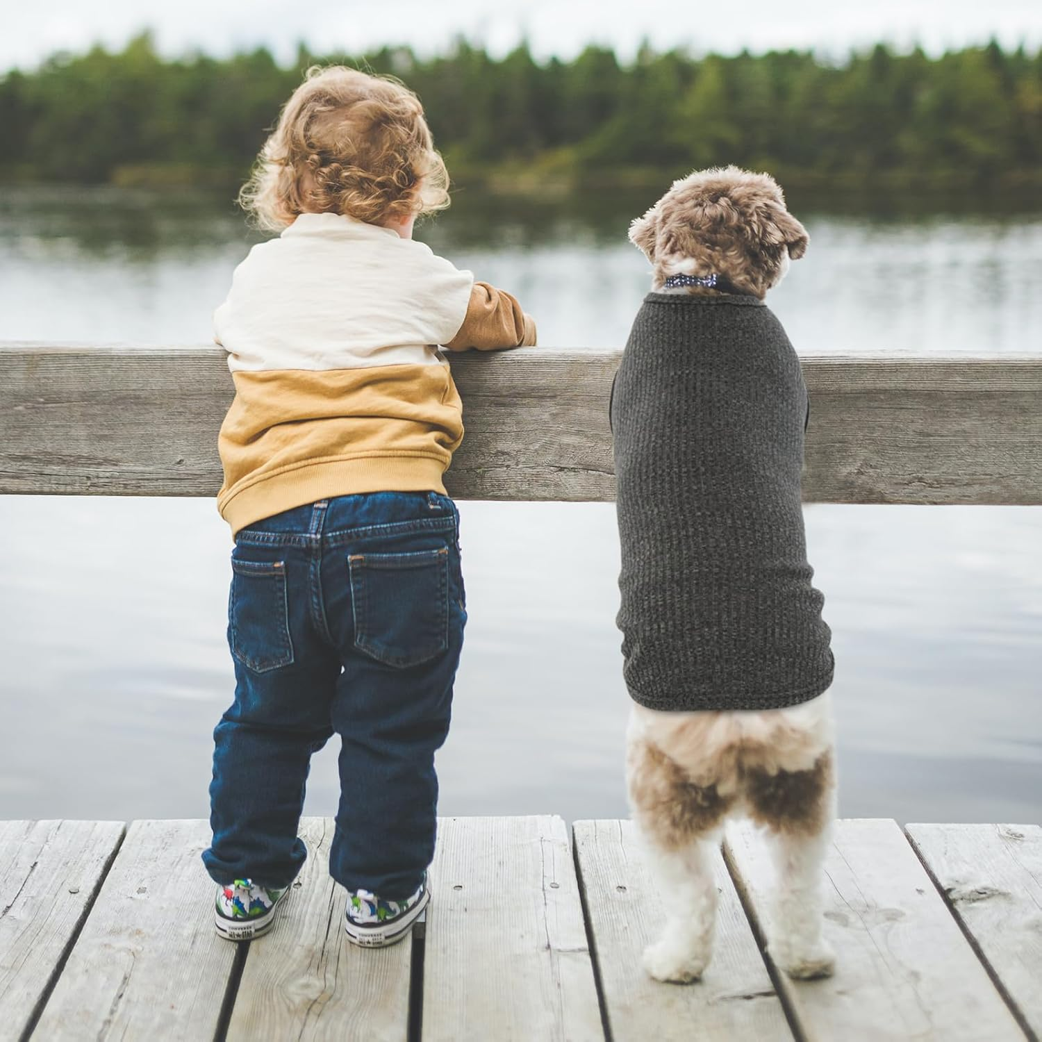 Hjumarayan Dog Jumpers Large Size - Knitted Dog Jumpers Lightweight Dog Jumper Large Dog Sweater, Striped Dog T Shirt Stretchy Dog Jumper Lightweight Vest for Medium Large Dogs (Black XXL) image number 3