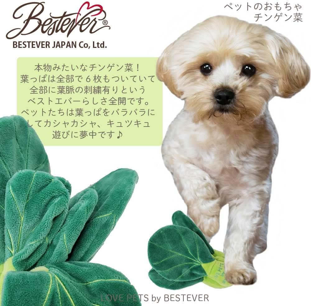 LOVE PETS by BESTEVER, Chinggengchai, Dog Toy, Pet Toy, Squishy Squishy, Sound, Stress Relief, Real, Play Together, Vegetables, Green Vegetables, Actual Size, Best Ever Japan