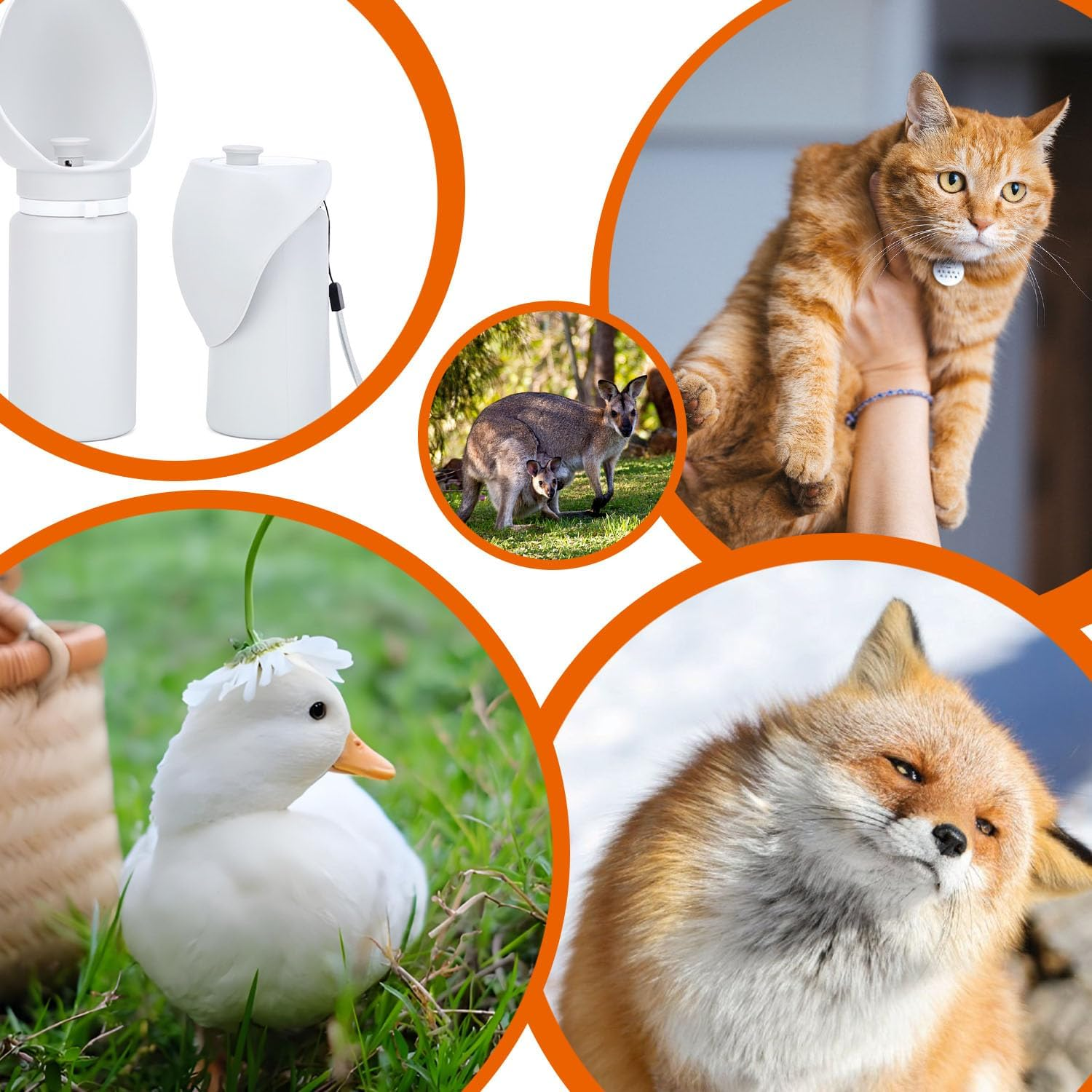 Shengsenfu 18.6 Oz Pet Cat Dog Water Bottle Portable Soft Silicone Leak Proof Foldable, Easy to Clean Dog Drinking Dispenser, Walking Hiking Camping Beach, Travel with Lead Leash Accessory, Dogs Cats image number 2