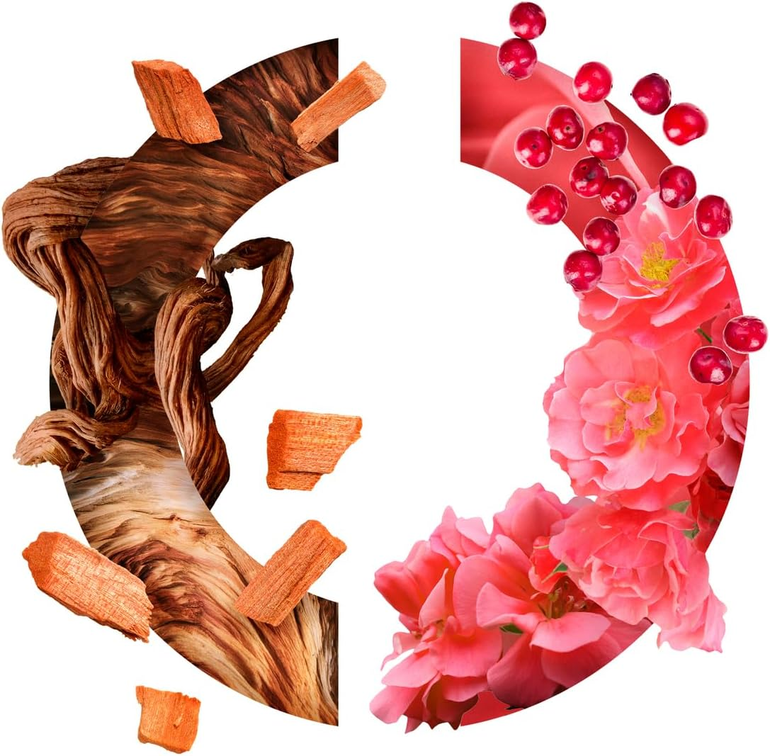 CARON Santal Precieux EDP 30Ml Refillable