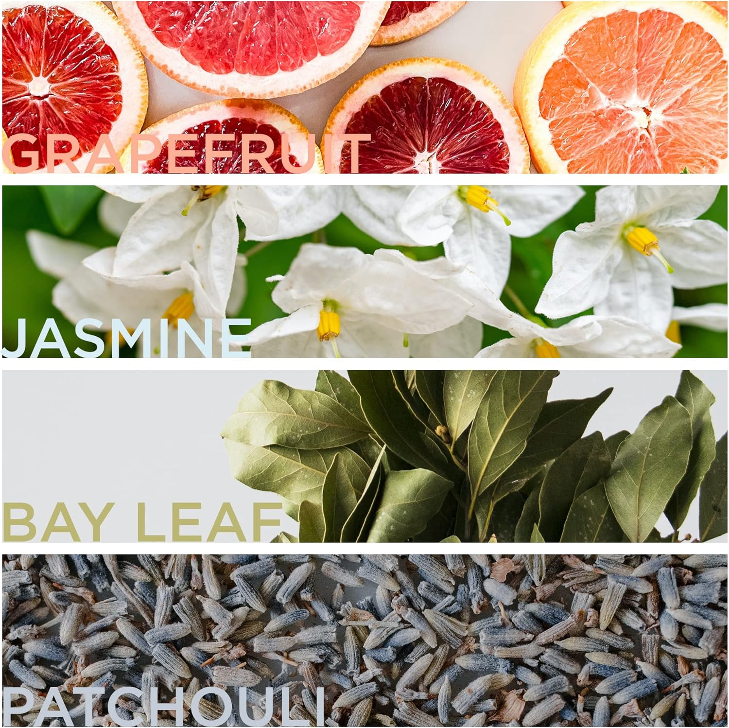 English Laundry Cambridge Knight Eau De Parfum Spray 3.4 Oz / 100 Ml, 100 Ml image number 2