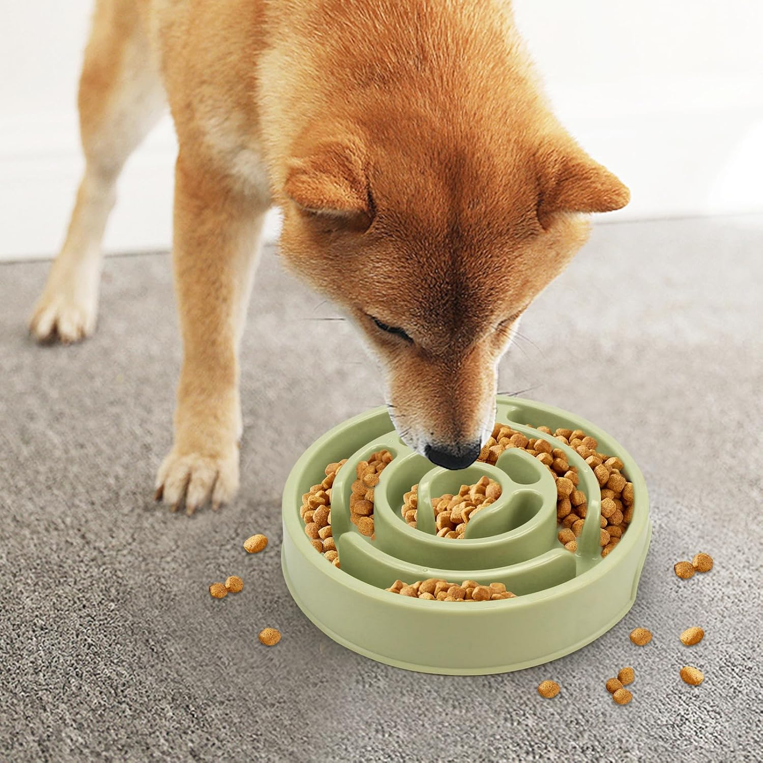 Coolplay Dog Bowl Slow Eating Dog Bowl Slow Eater Dog Bowls Dog Puzzle Light Green image number 3