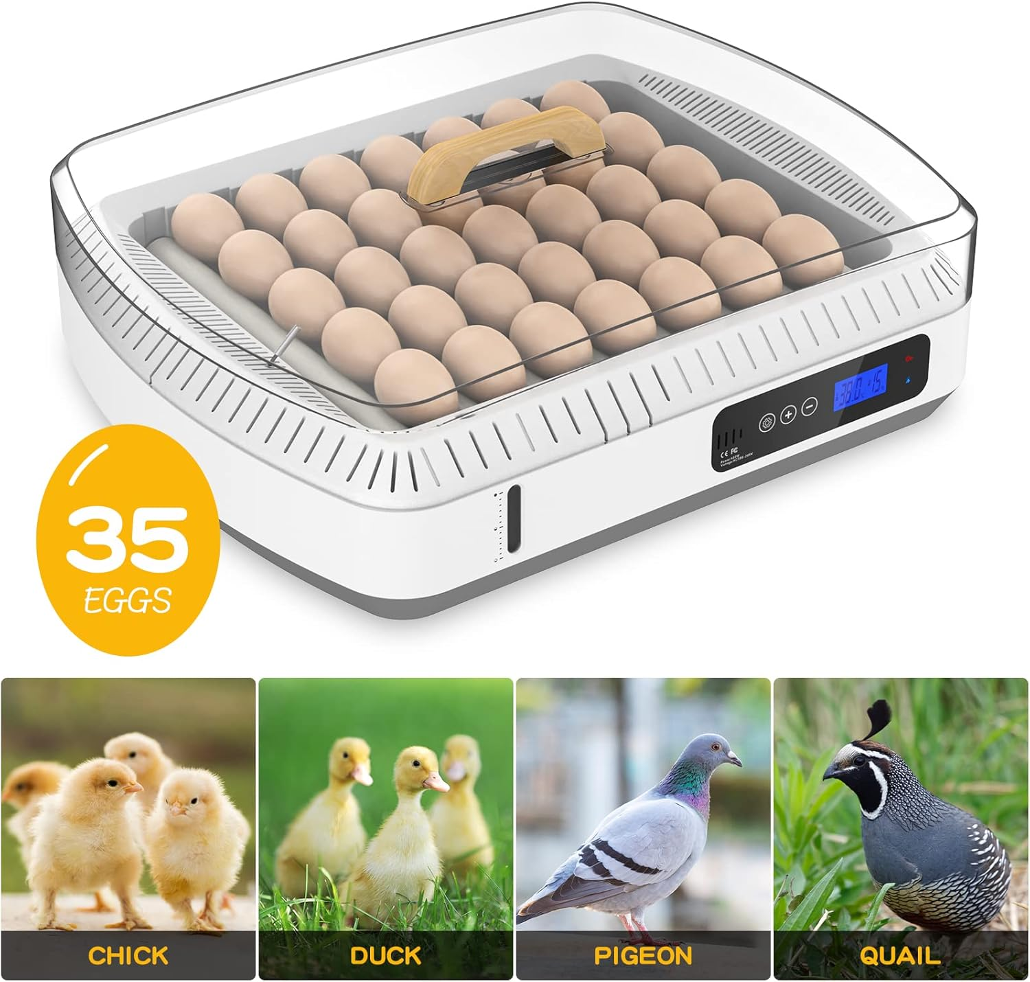 Advwin 35 Eggs Incubator for Hatching Chicken, Duckings and Turkey, Fully Automatic Egg Turning, Poultry Egg Incubator with Humidity Display, LED Candler