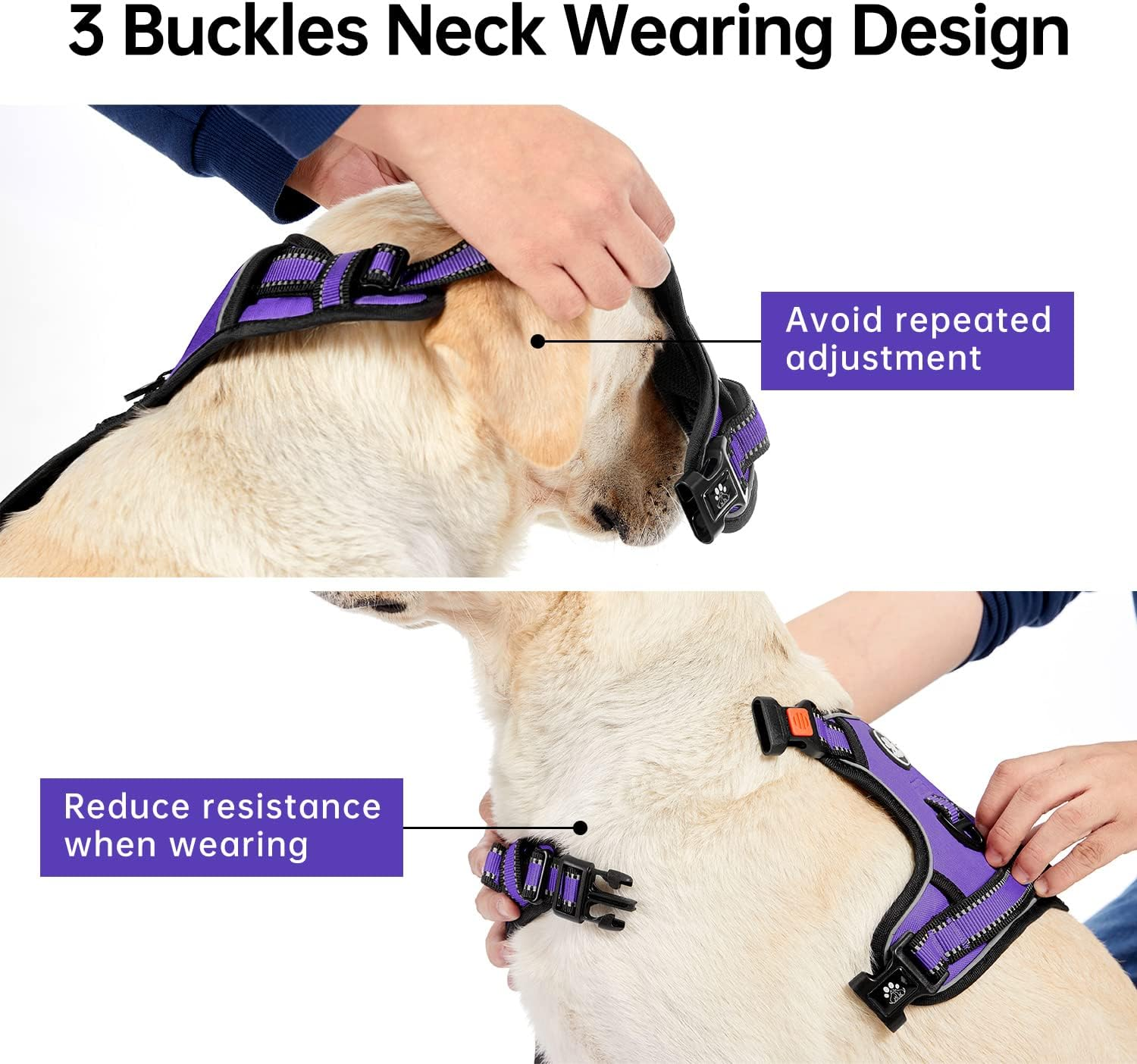 IVY&LANE No Pull Dog Harness for Small Dogs, Dog Vest Harness with Leash, Safety Belt and Storage Strap, Fully Adjustable Harness, 360&deg; Reflective Strip, Soft Handle (Purple, S) image number 4