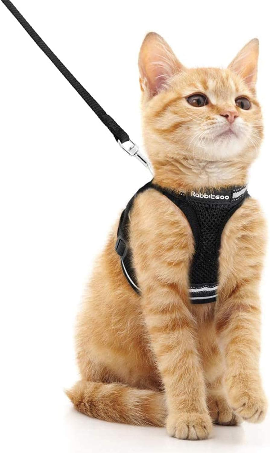 Rabbitgoo Cat Harness and Leash Set for Walking Escape Proof, Adjustable Soft Kitten Vest Harness with Reflective Strip for Cats, Step-In Comfortable Mesh Paded Outdoor Pet Harness, Black, M image number 5
